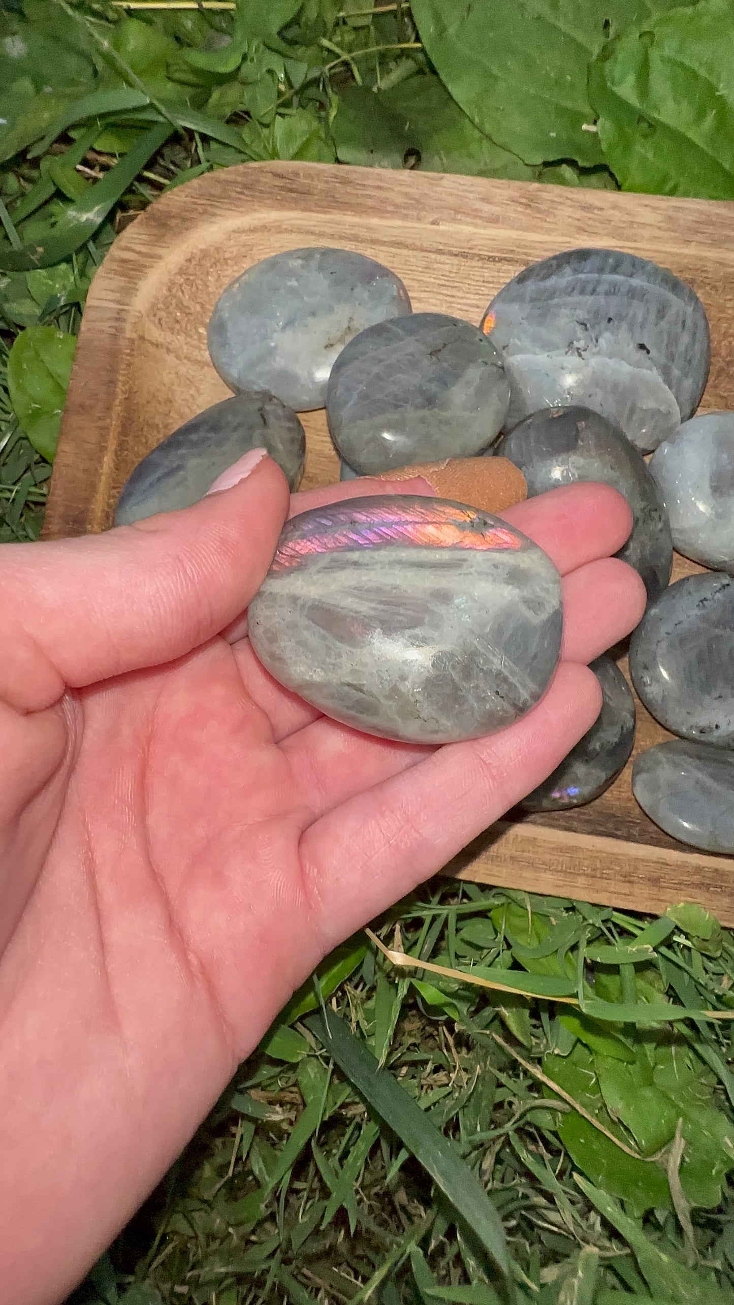 Labradorite mini palmstone