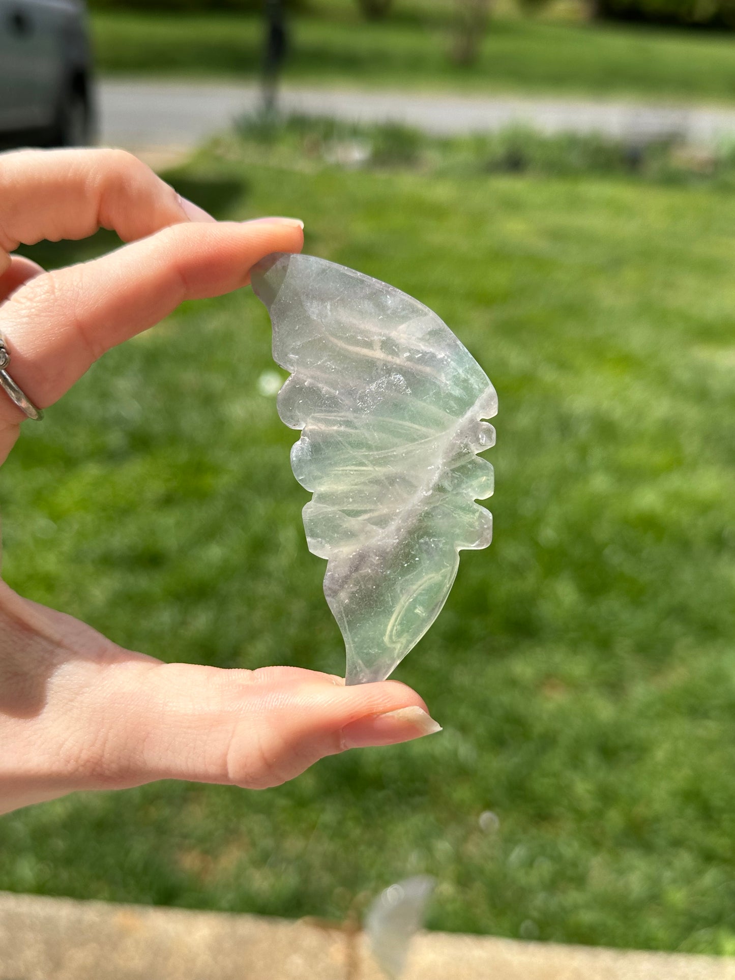 Fluorite Butterfly w/ Stand #16