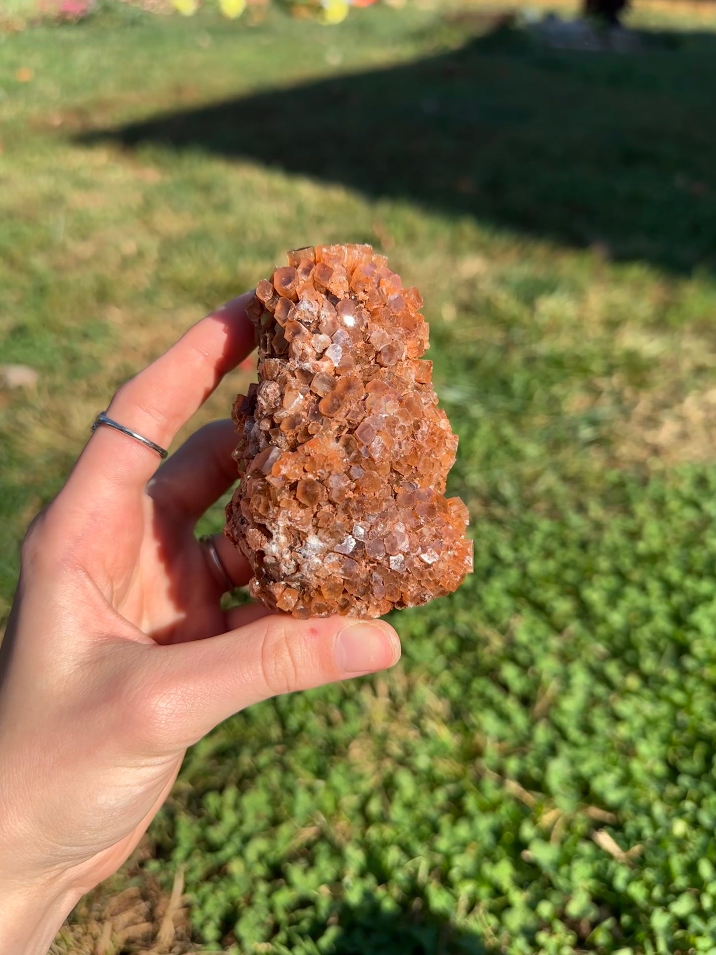 Aragonite cluster