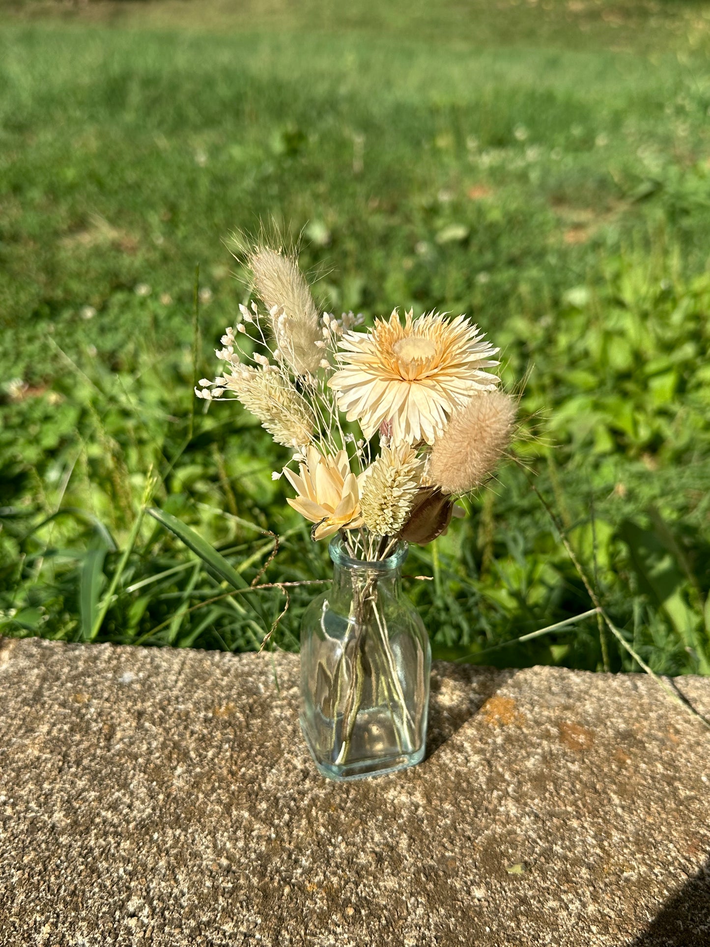 Neutral Dried Flower Bud Vase