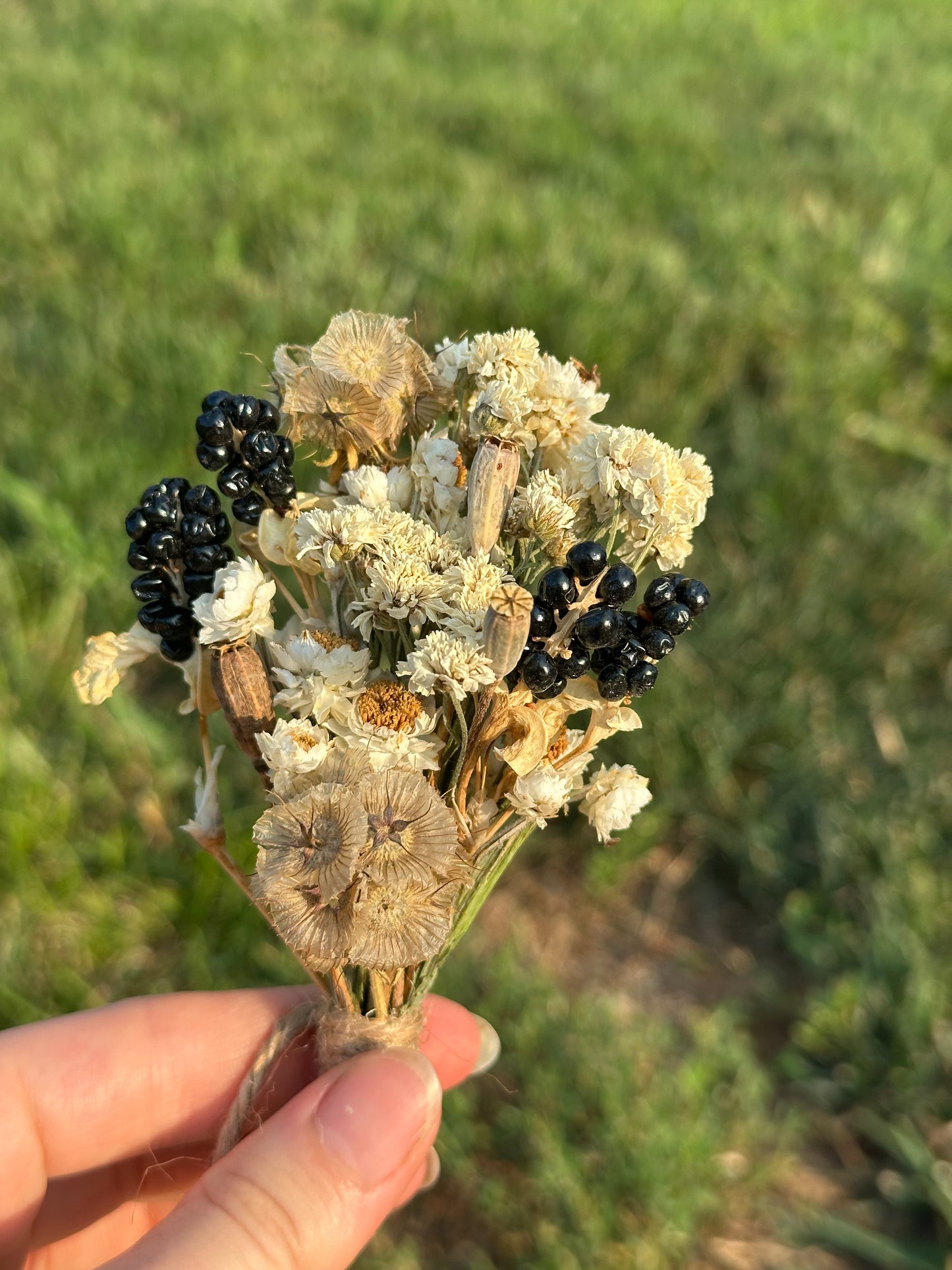 Blackberry Noir Mini Bouquet