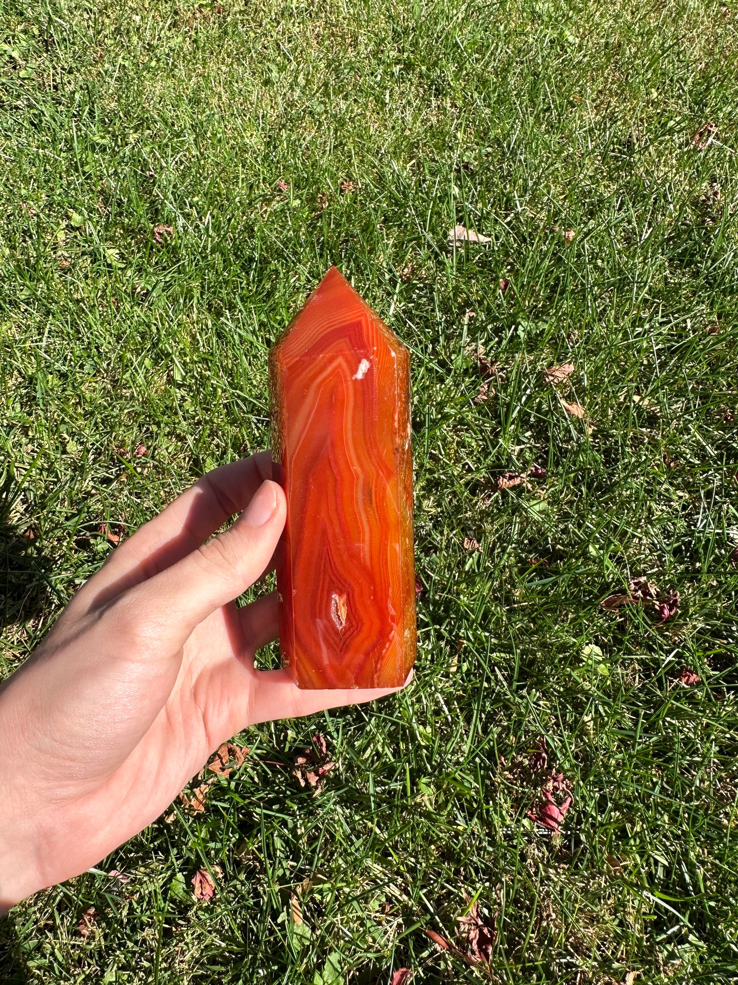 Carnelian tower #8