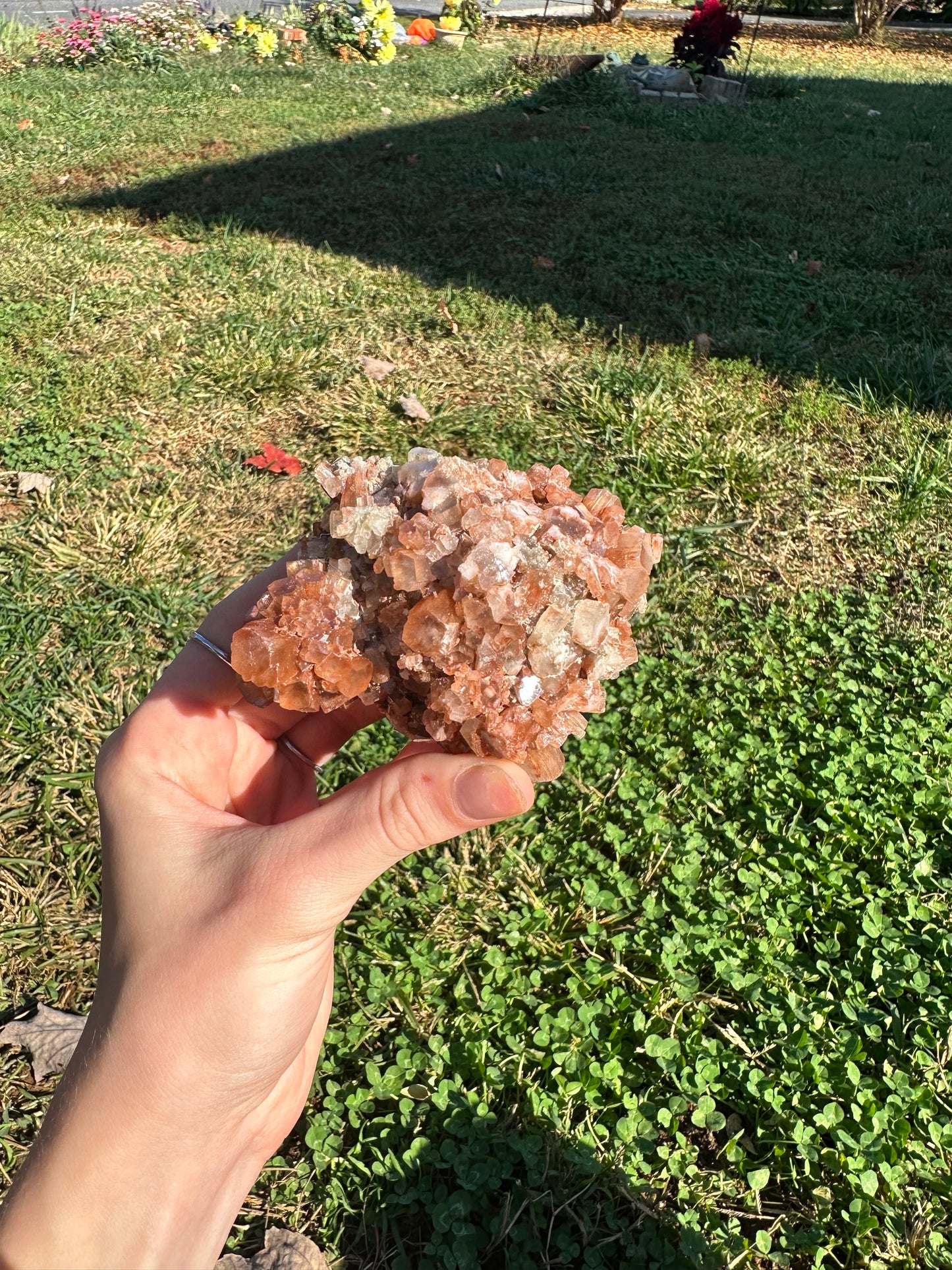 Aragonite cluster