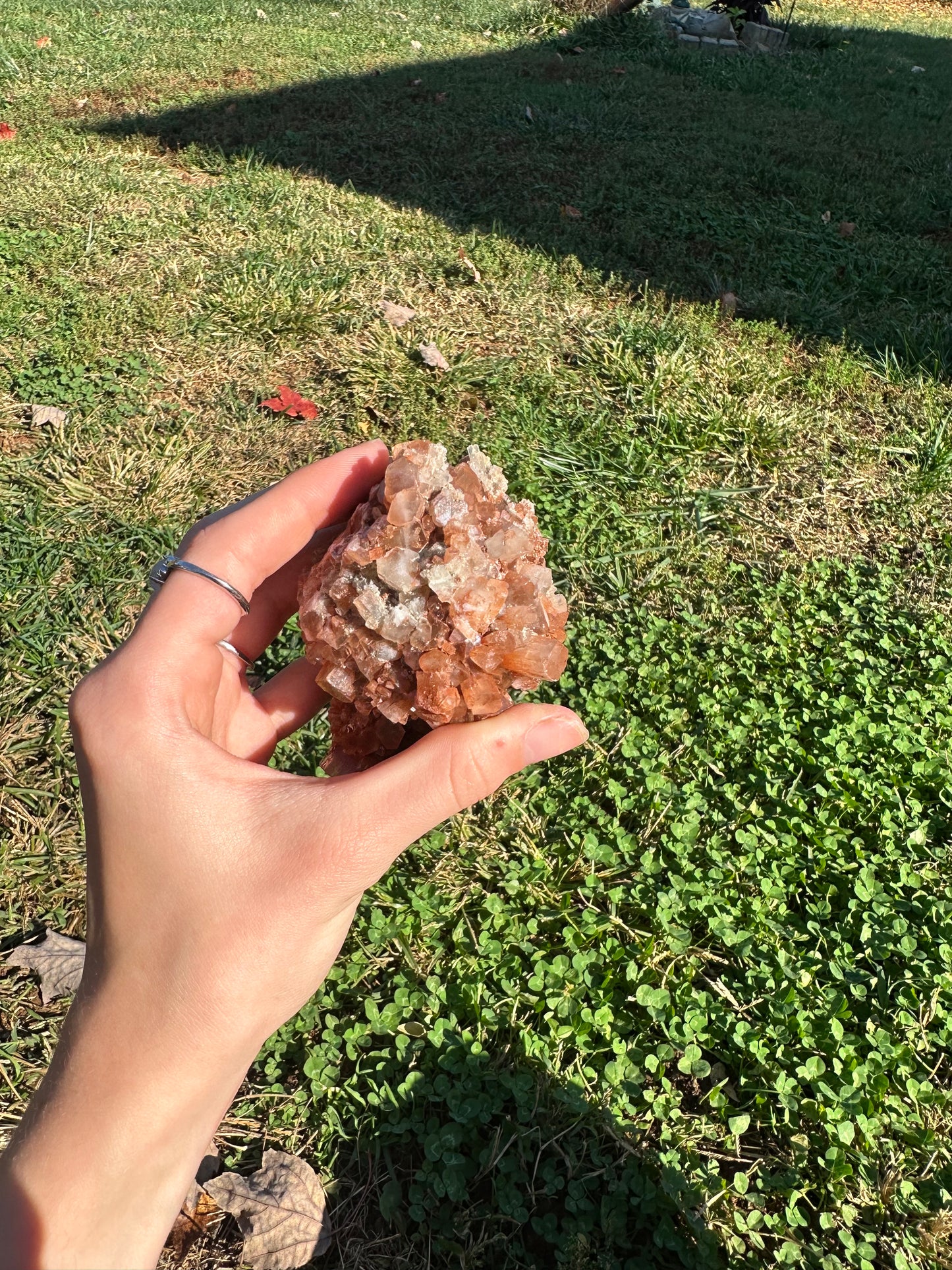 Aragonite cluster