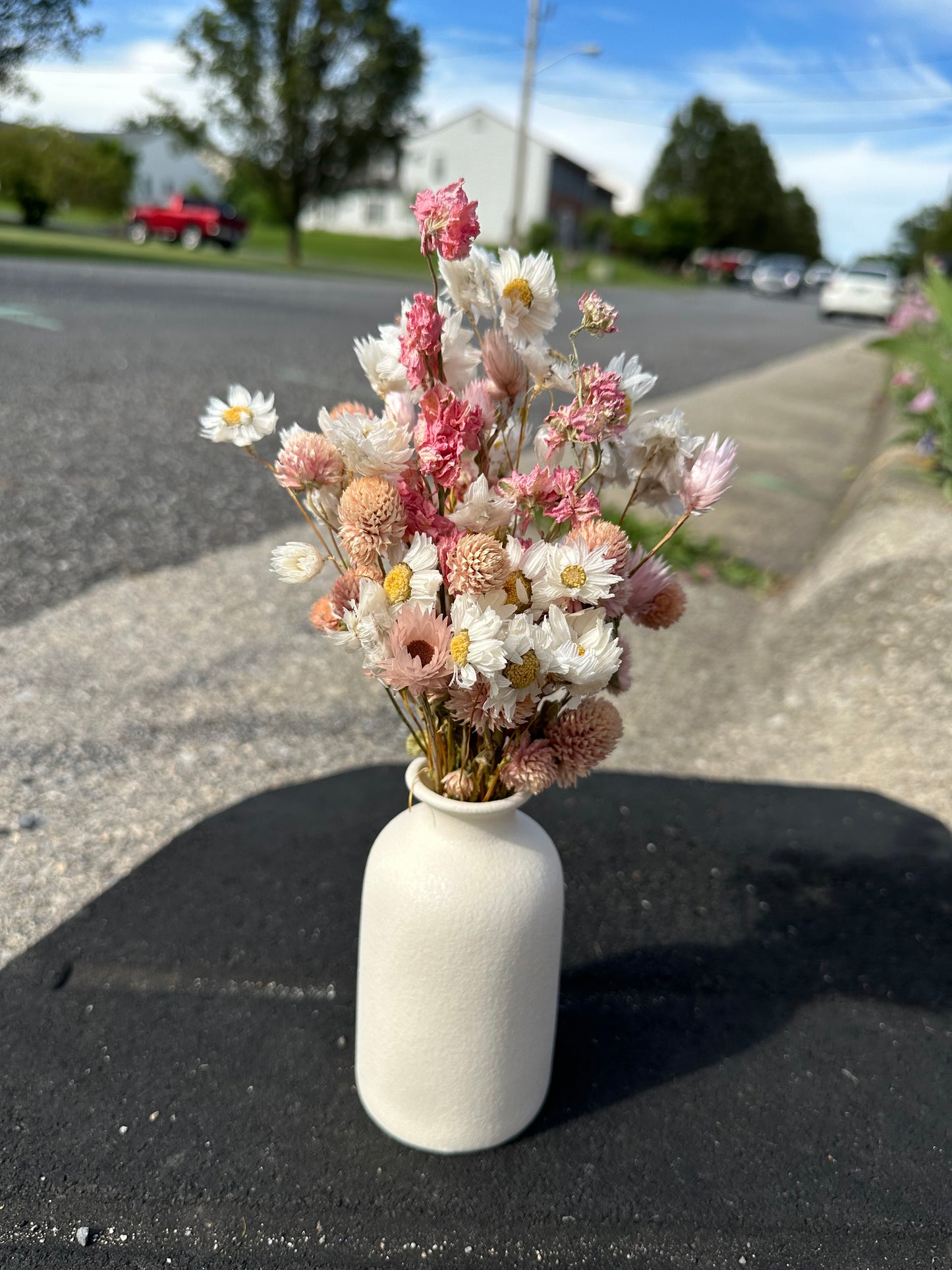 Pink & White Dried Flower Bouquet