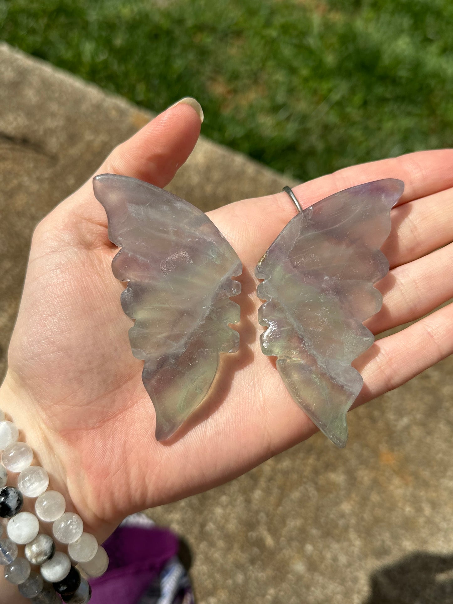 Fluorite Butterfly w/ Stand #16