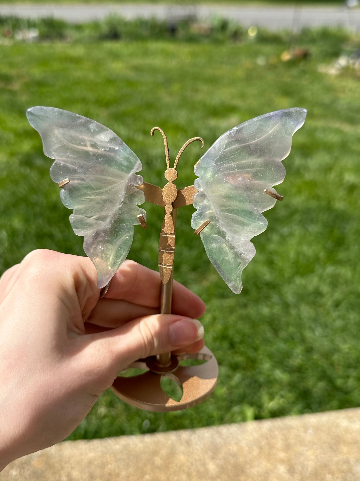 Fluorite Butterfly w/ Stand #16