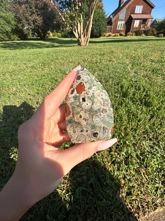 Rain Forest Jasper arrowhead #5