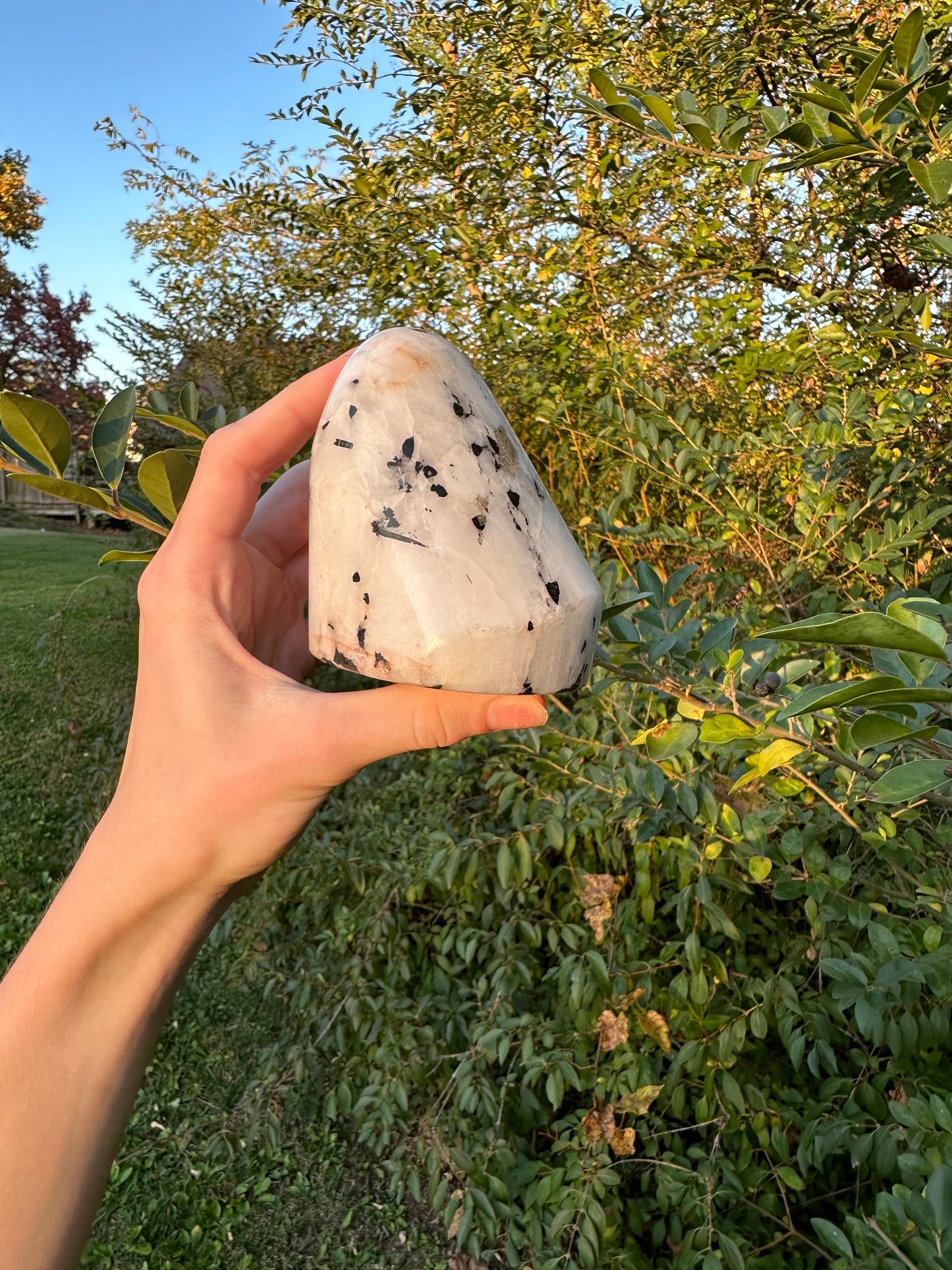 Tourmaline in Quartz freeform #2