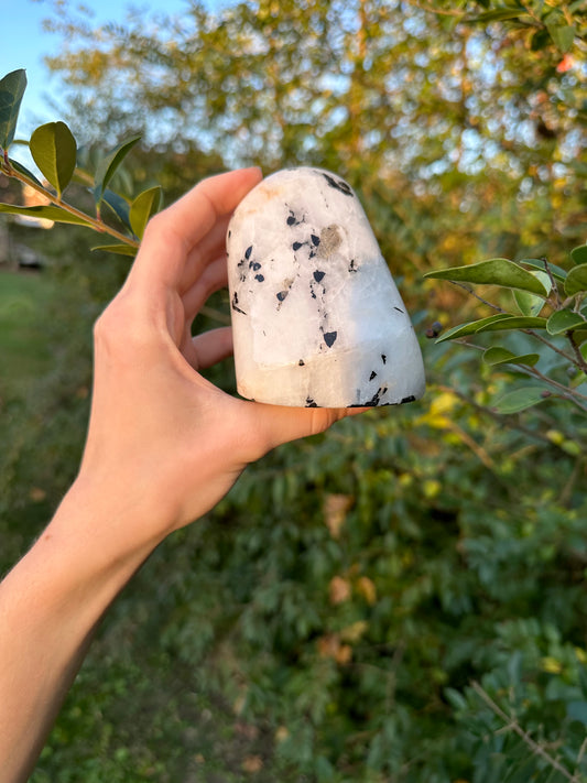 Tourmaline in Quartz freeform #2