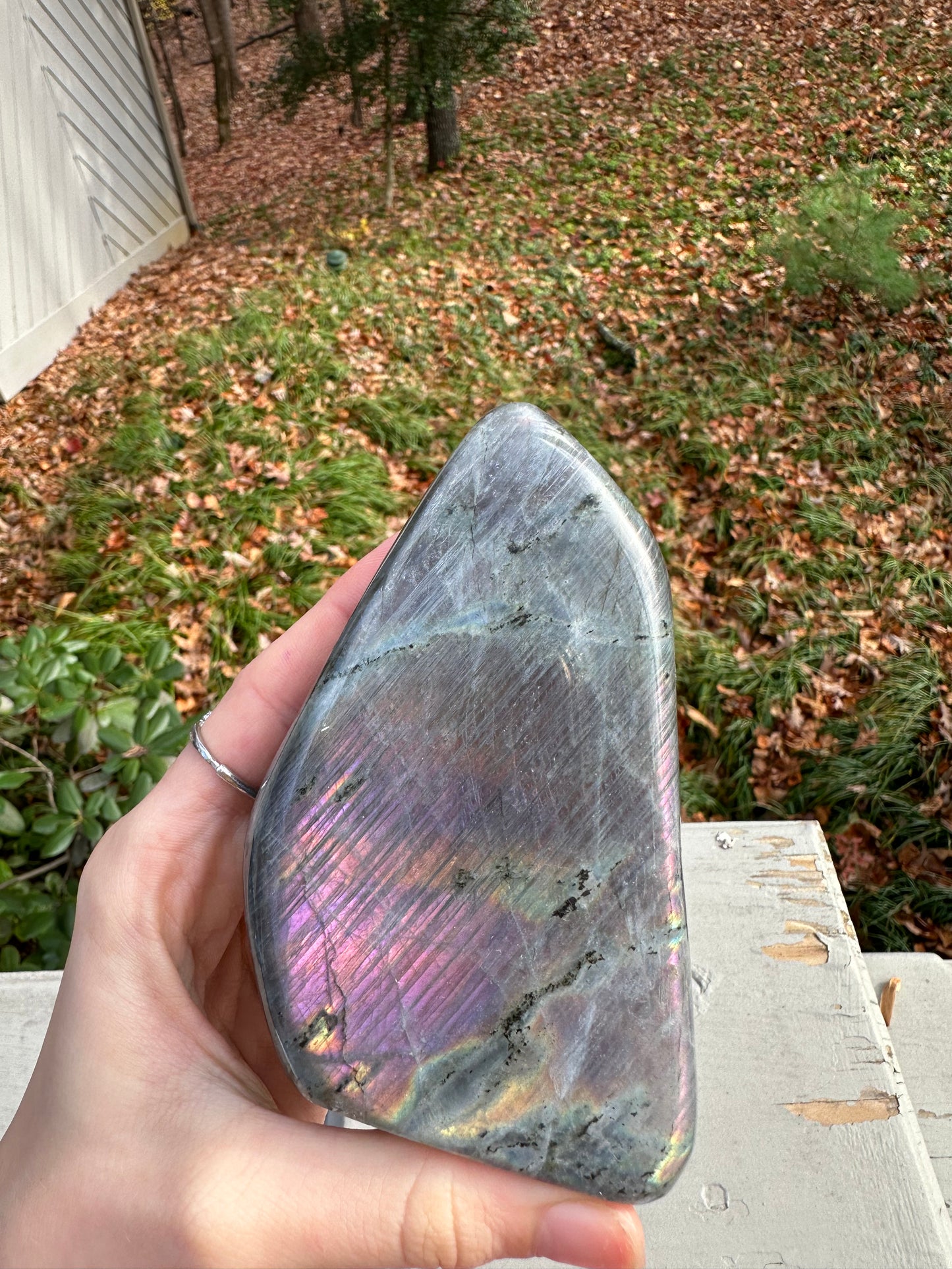 Labradorite freeform #14