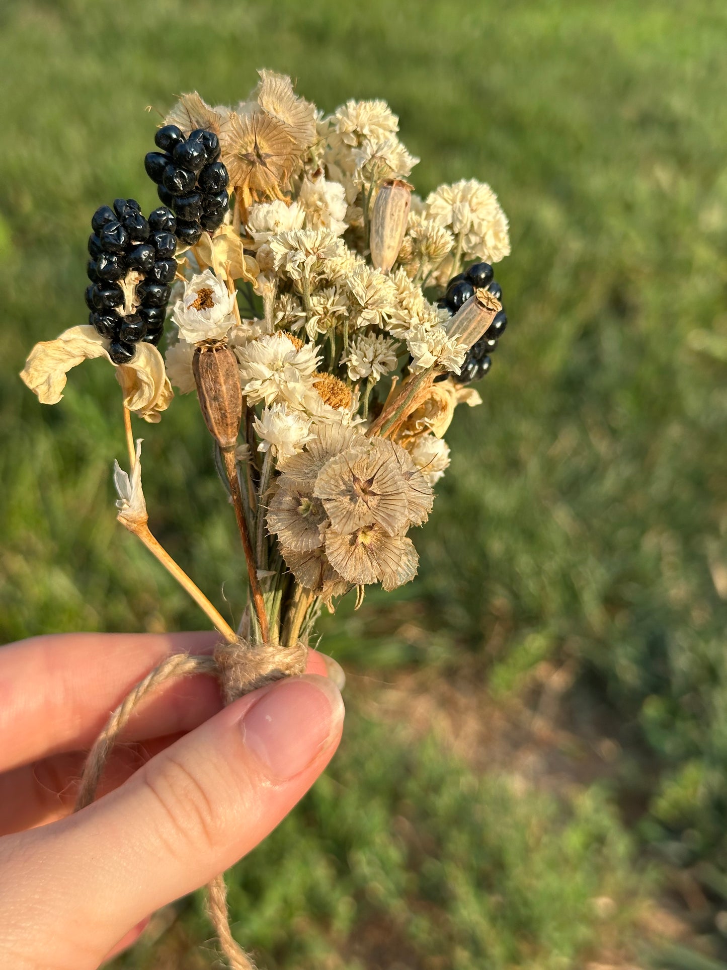 Blackberry Noir Mini Bouquet