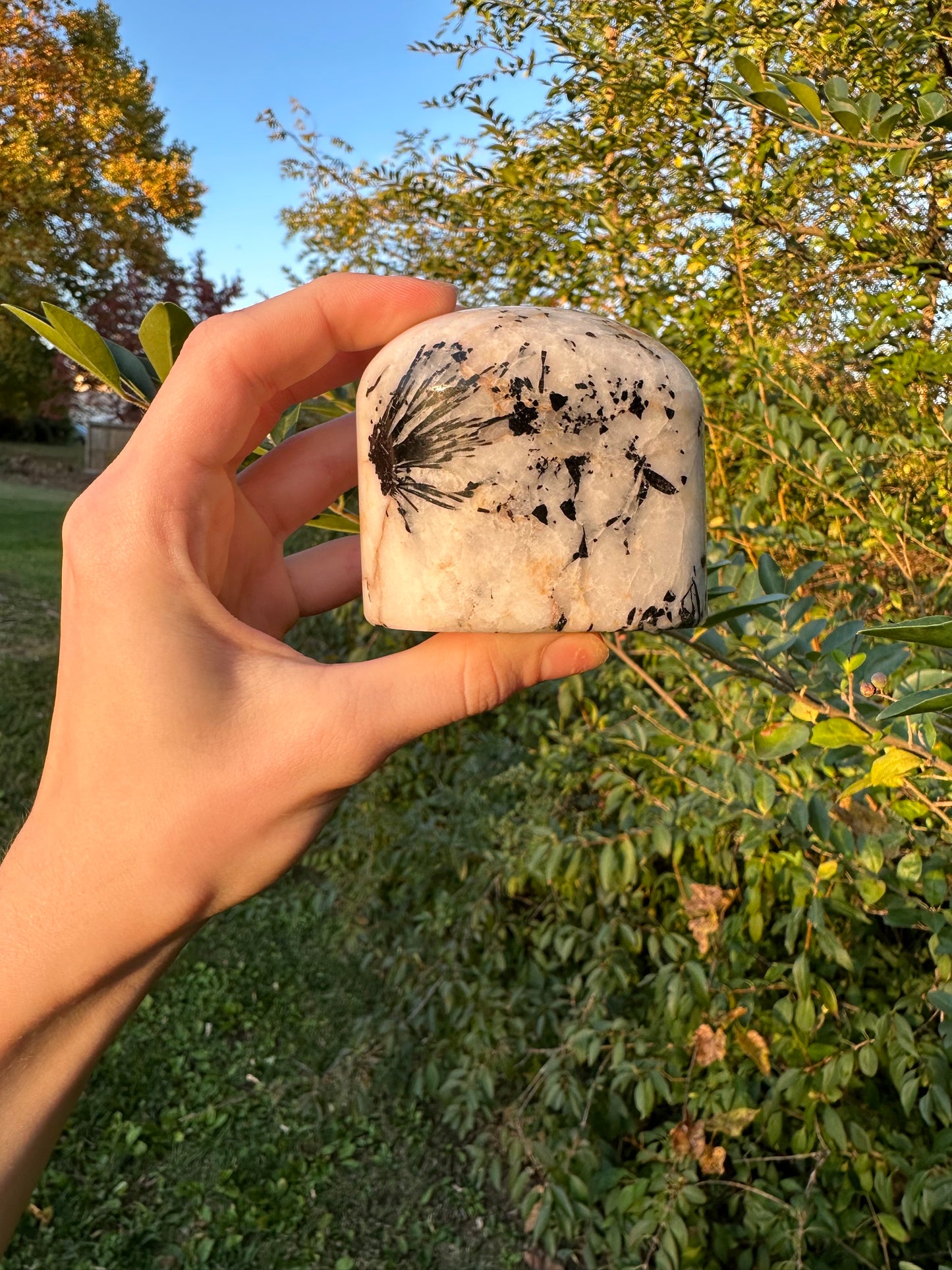 Tourmaline in Quartz freeform #1