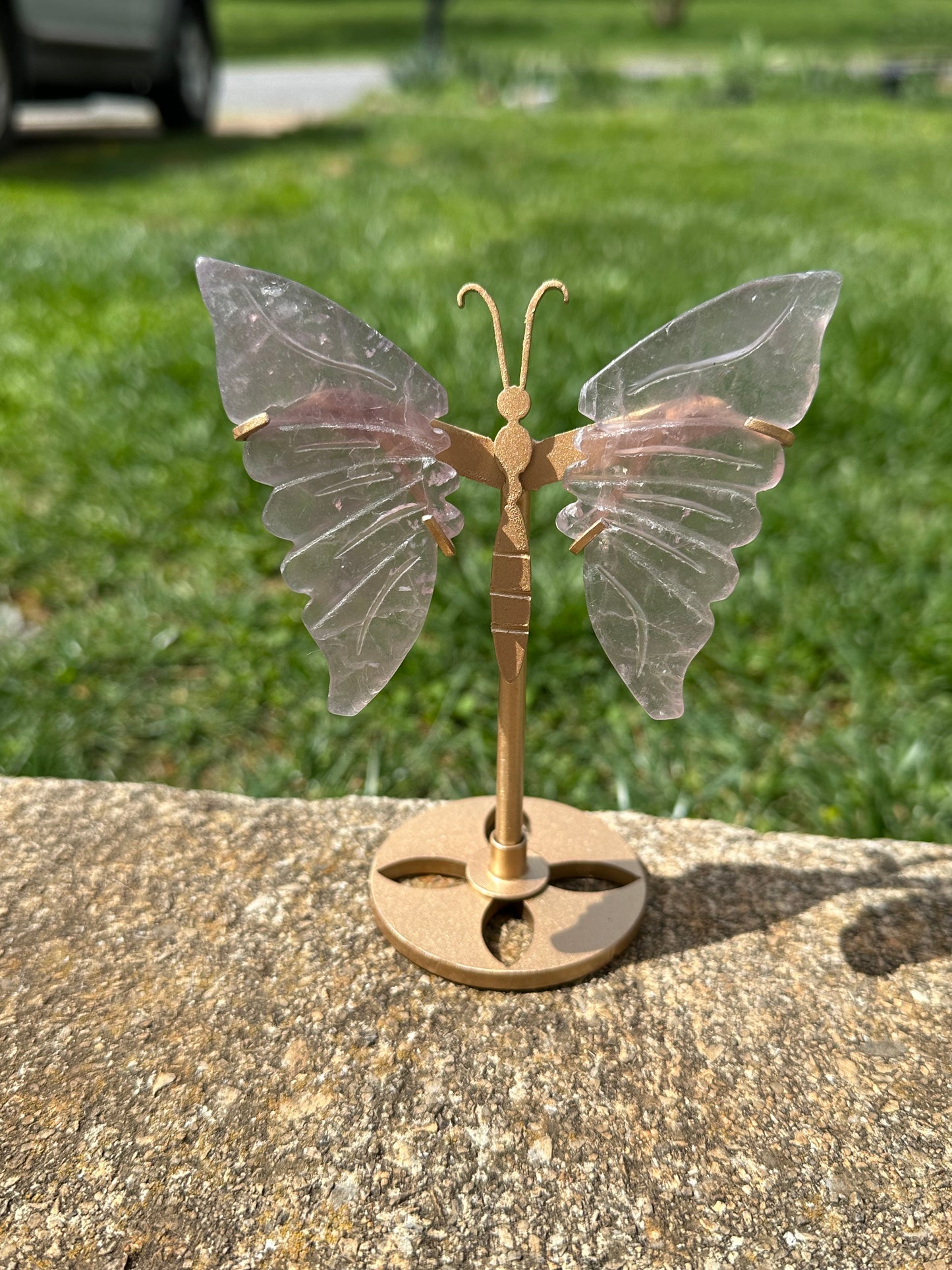 Fluorite Butterfly w/ Stand #9