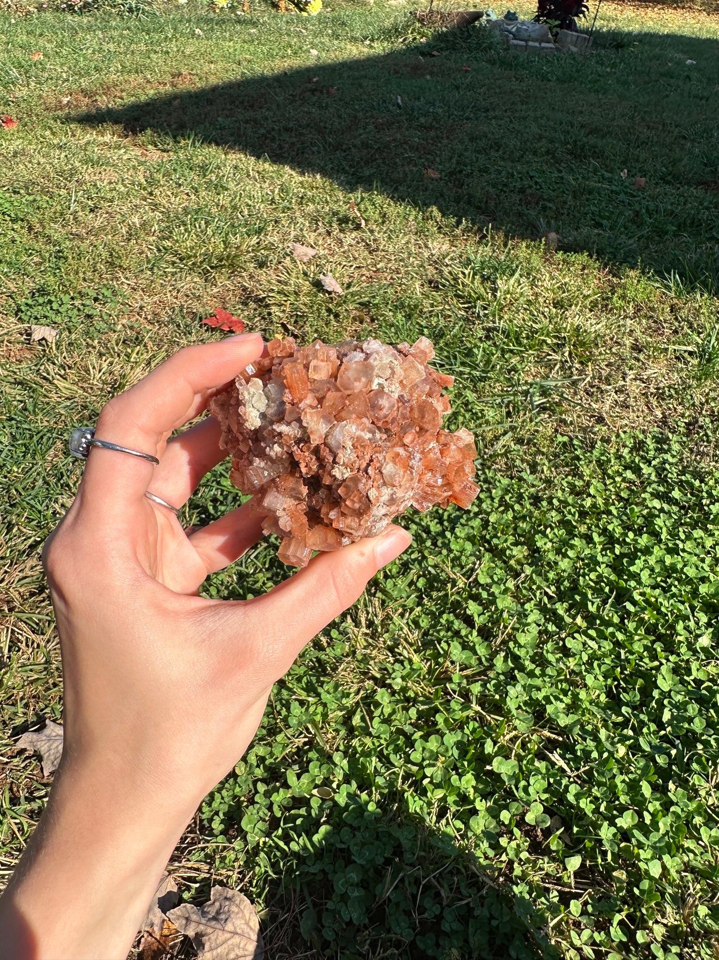 Aragonite cluster