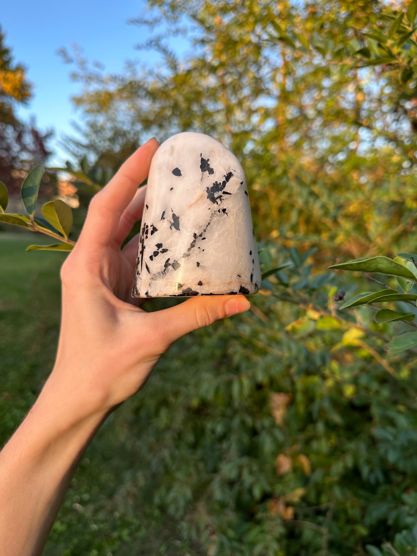 Tourmaline in Quartz freeform #2