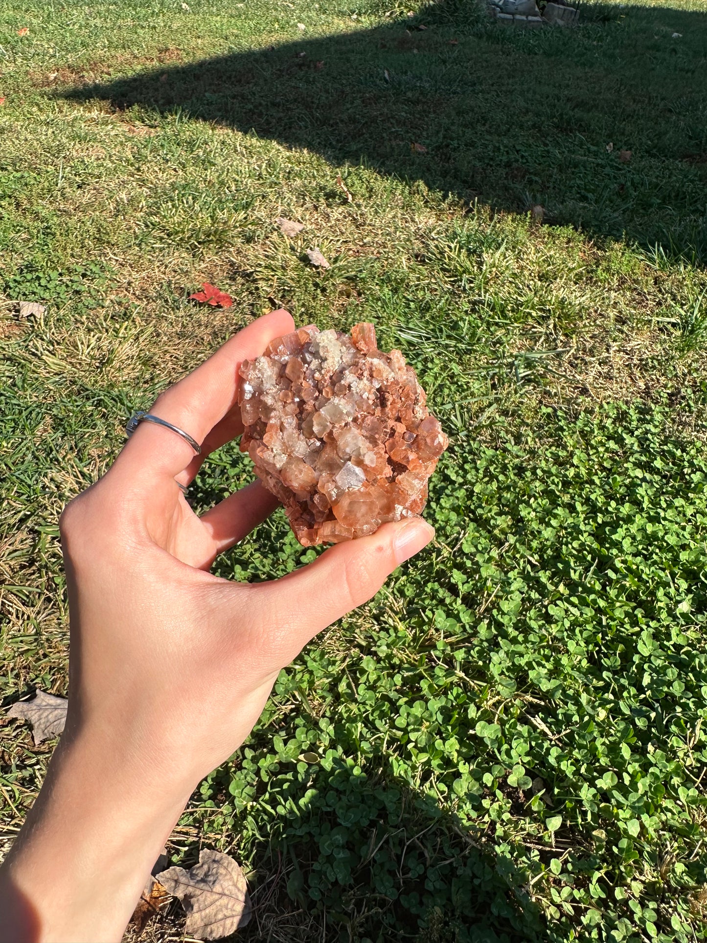 Aragonite cluster