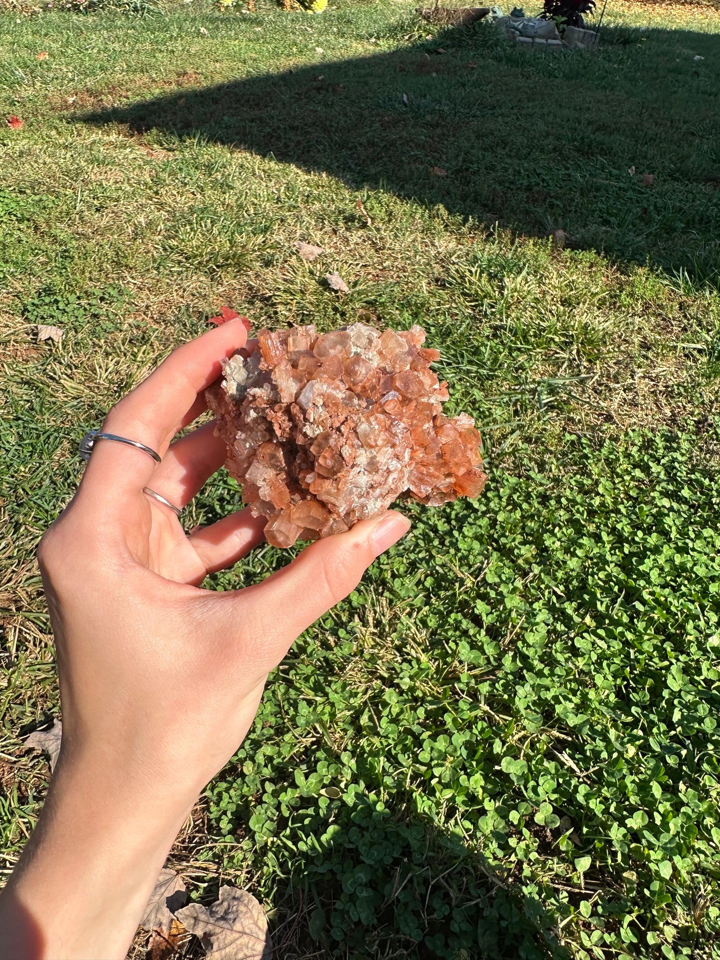 Aragonite cluster