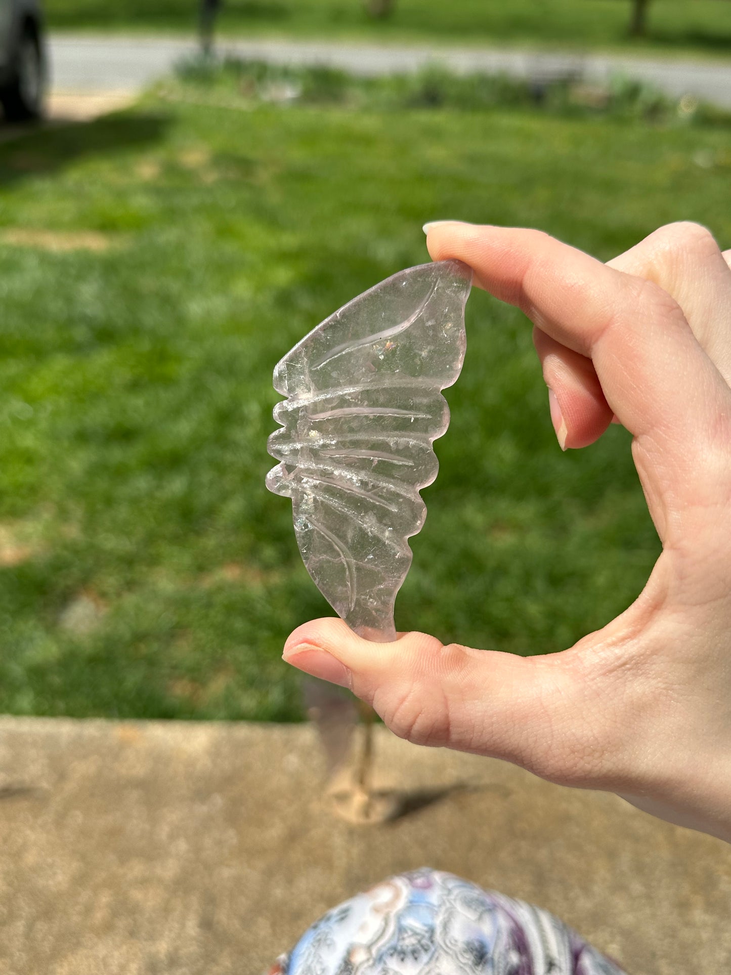 Fluorite Butterfly w/ Stand #9