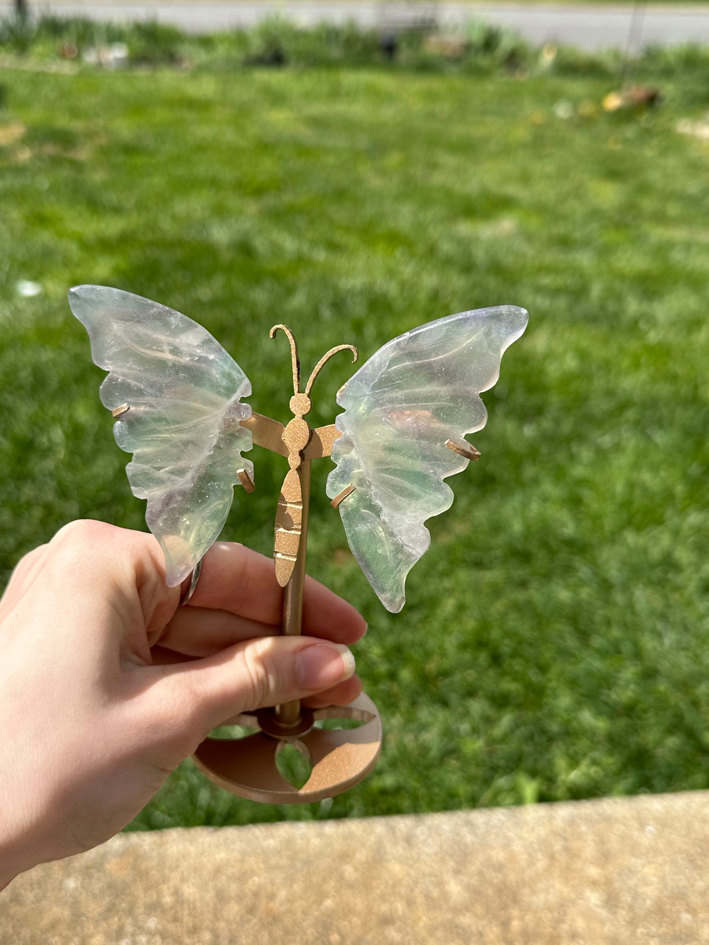 Fluorite Butterfly w/ Stand #16