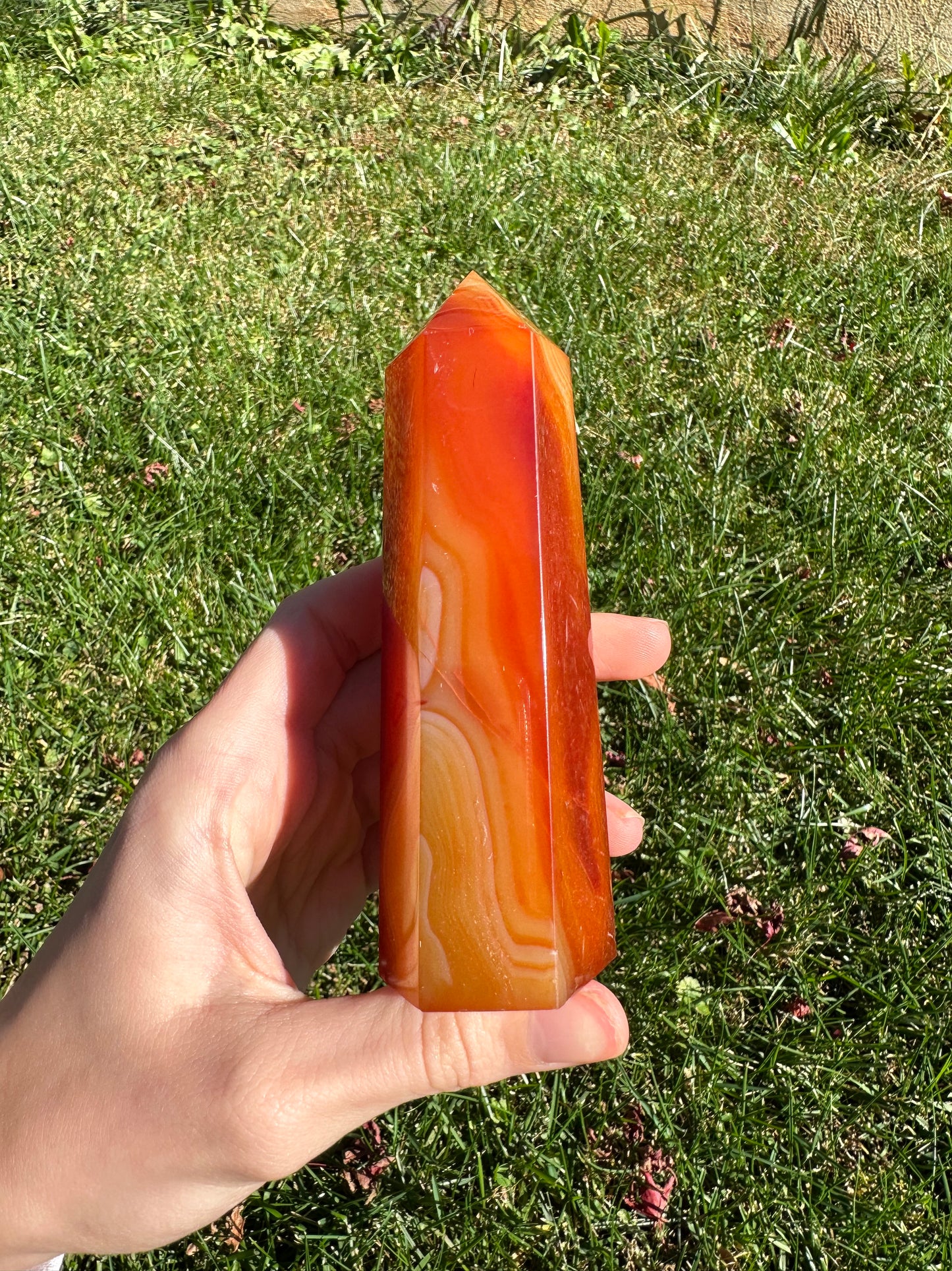 Carnelian tower #5