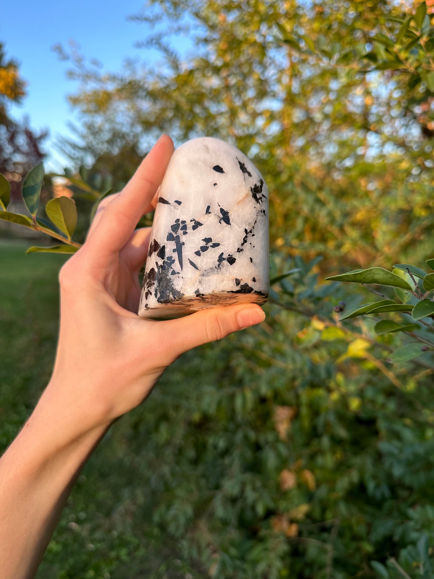 Tourmaline in Quartz freeform #2