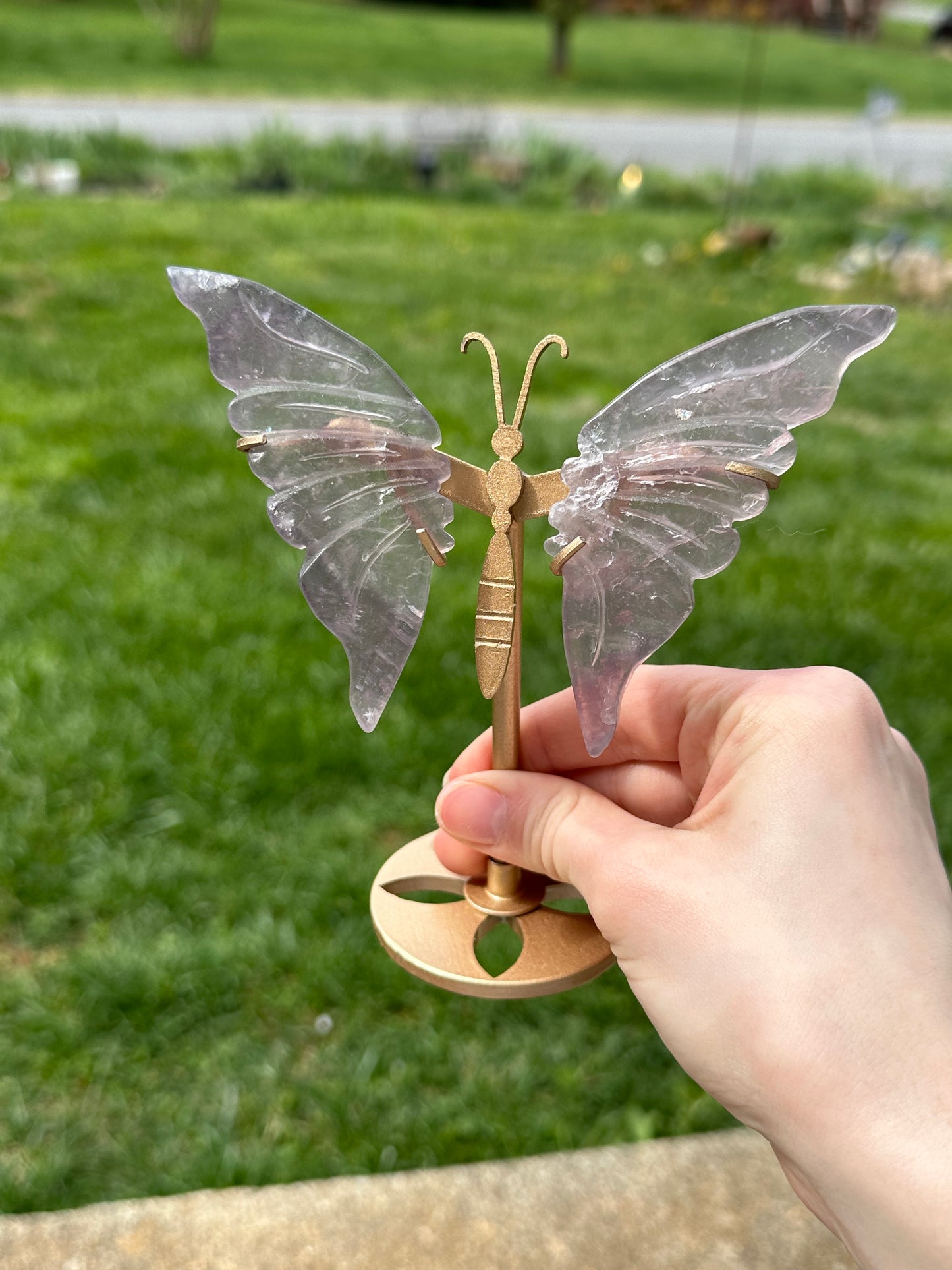 Fluorite Butterfly w/ Stand #17