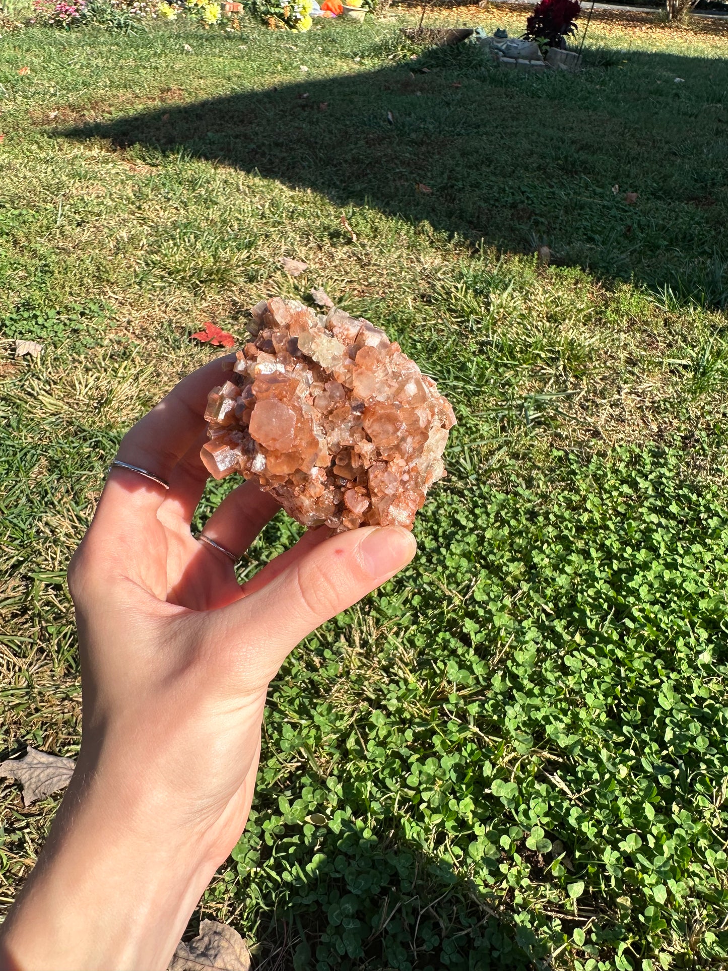 Aragonite cluster