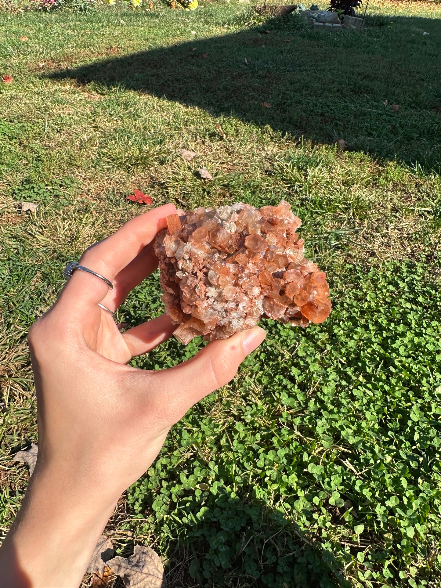 Aragonite cluster