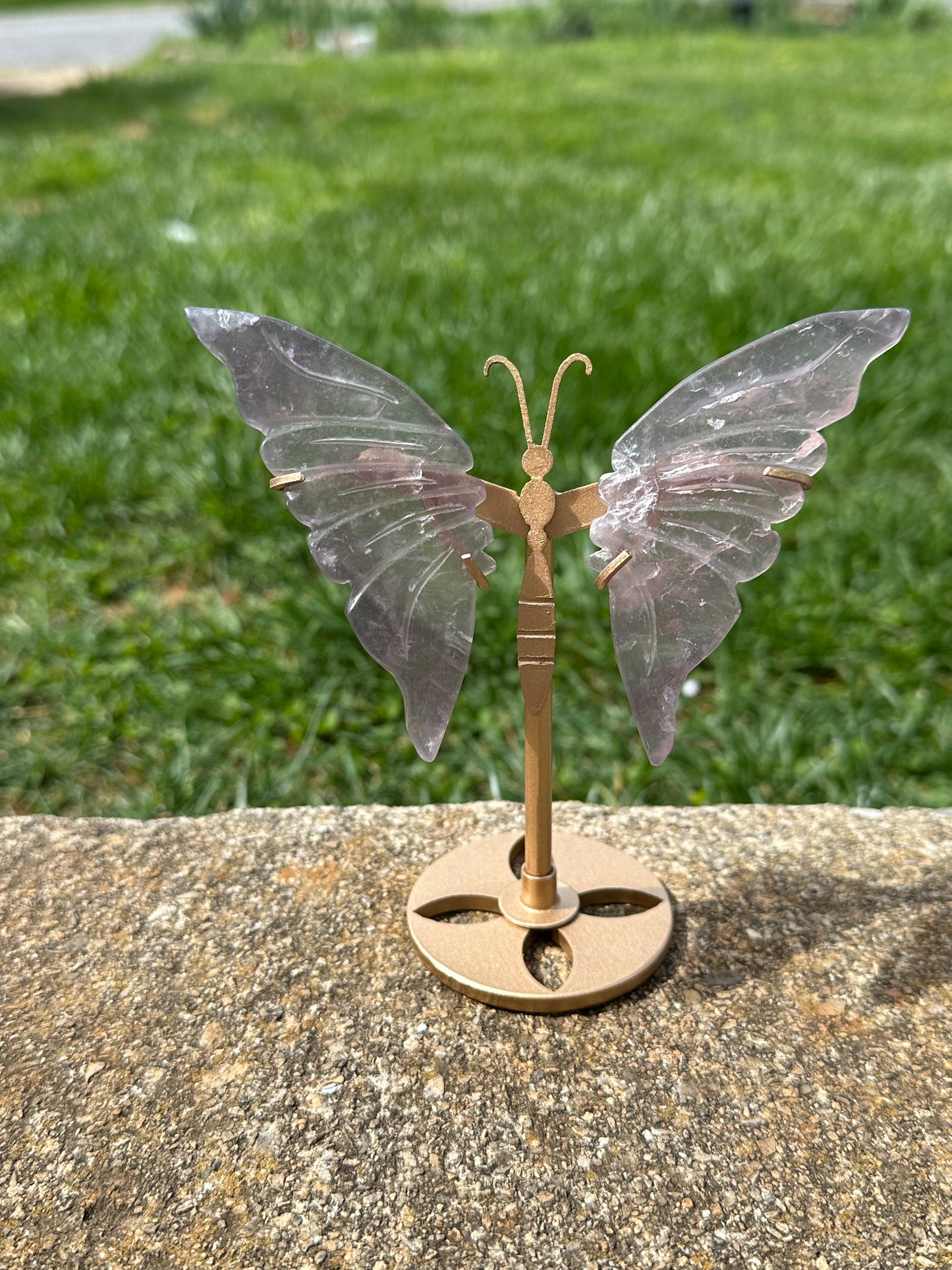 Fluorite Butterfly w/ Stand #17