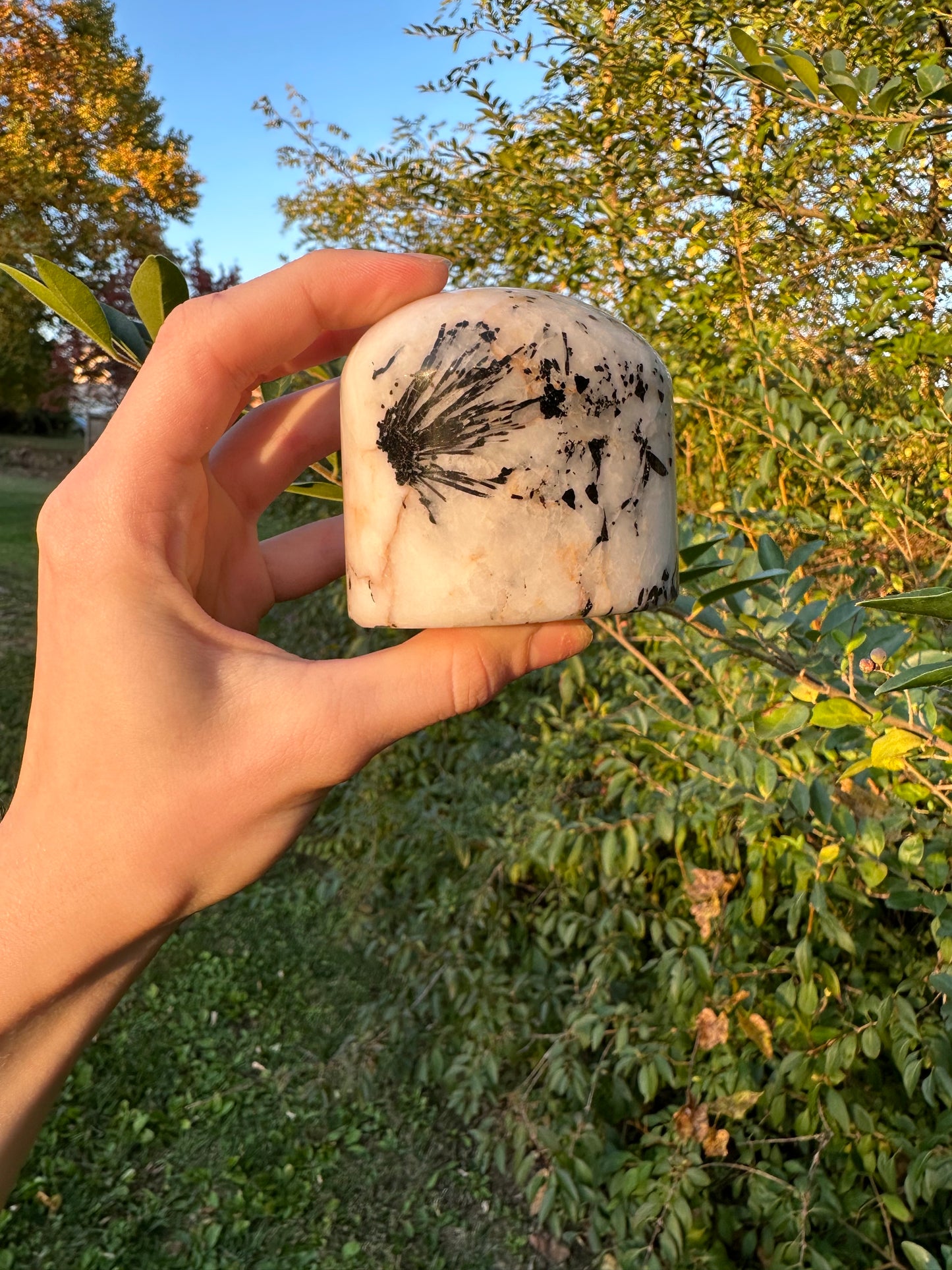 Tourmaline in Quartz freeform #1