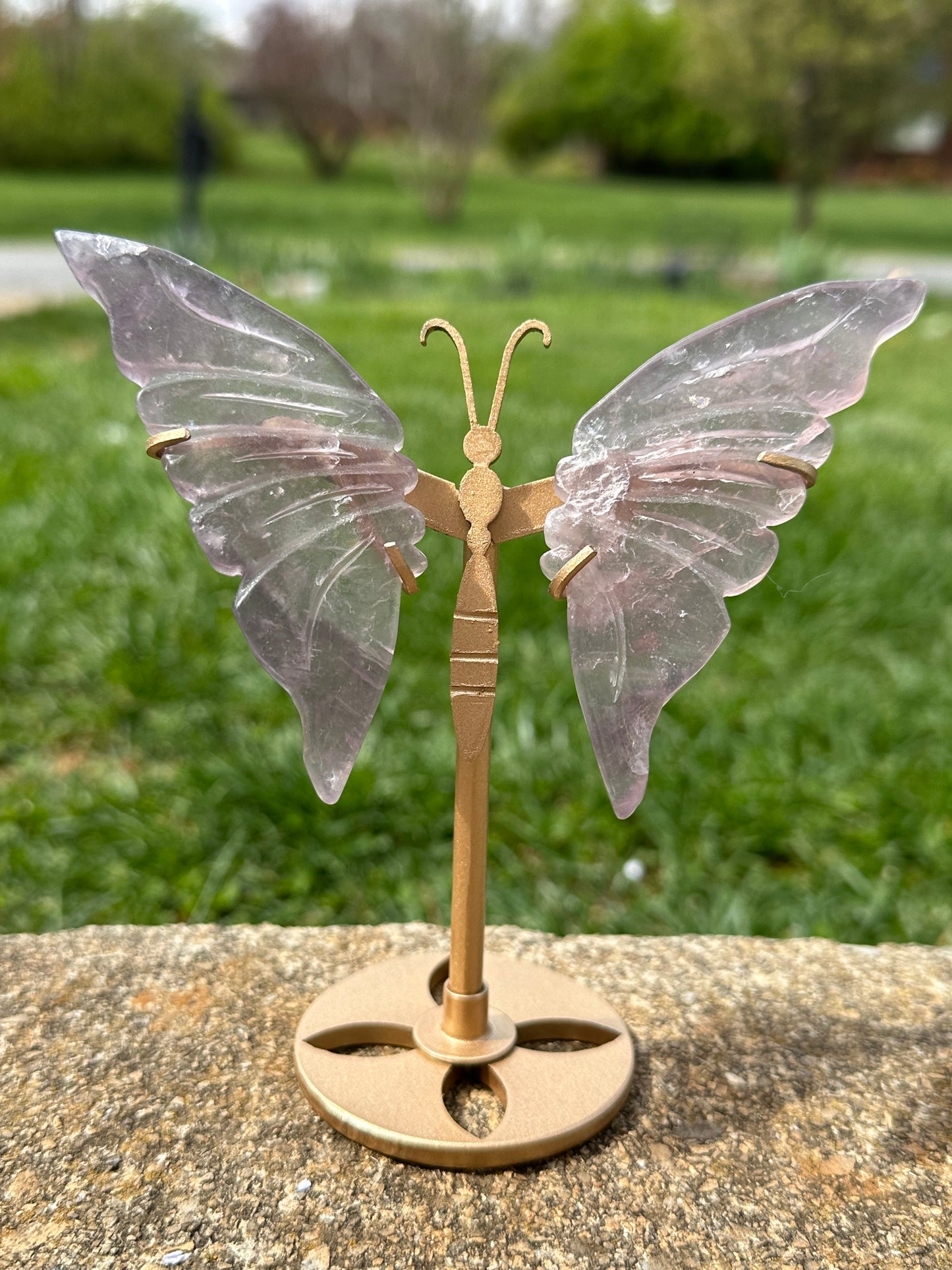 Fluorite Butterfly w/ Stand #17