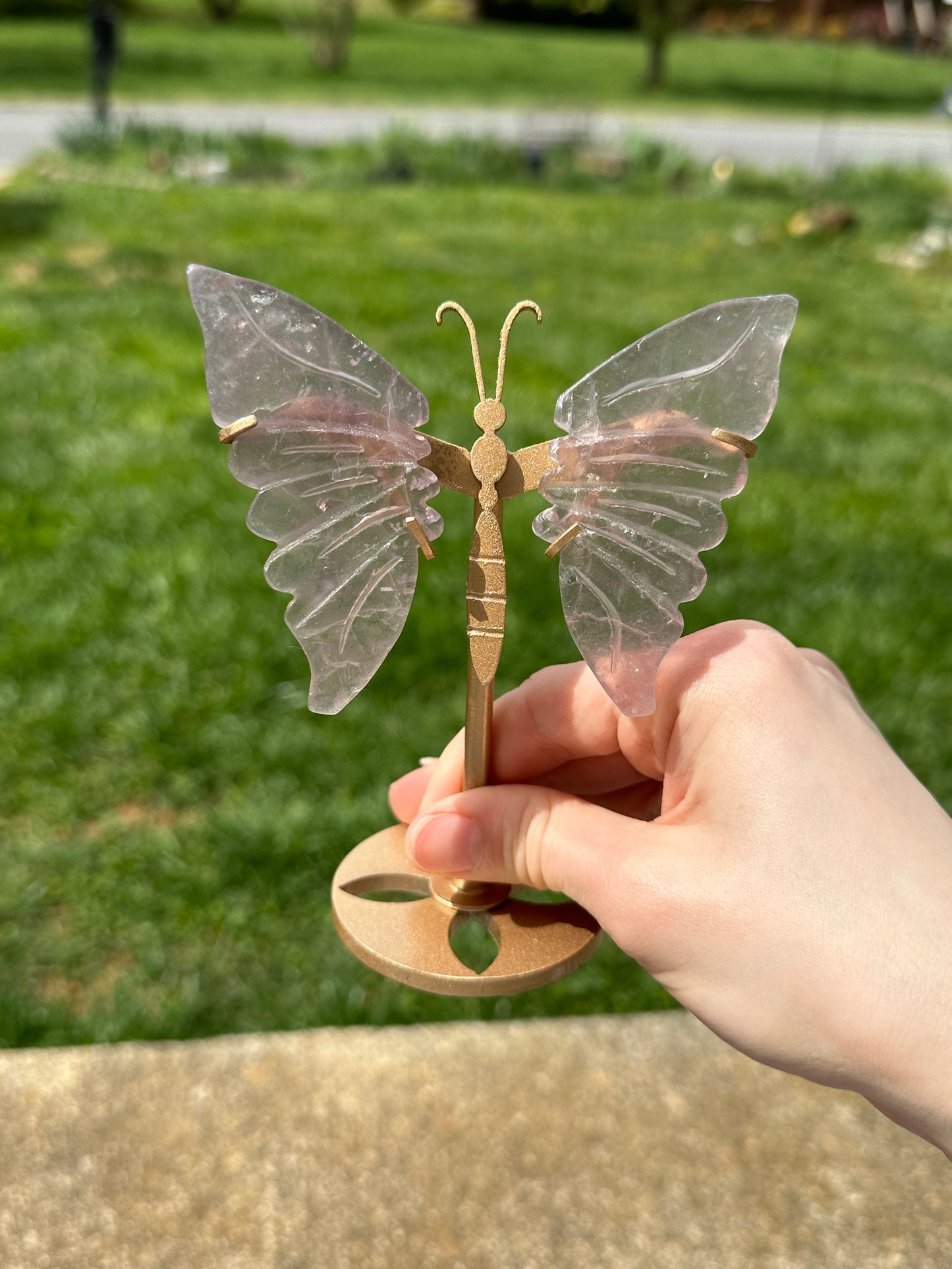 Fluorite Butterfly w/ Stand #9