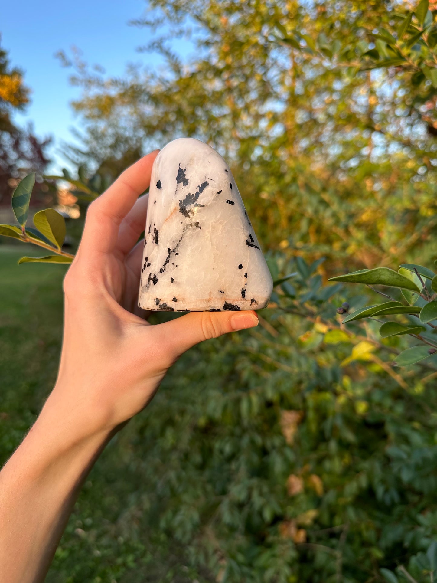 Tourmaline in Quartz freeform #2