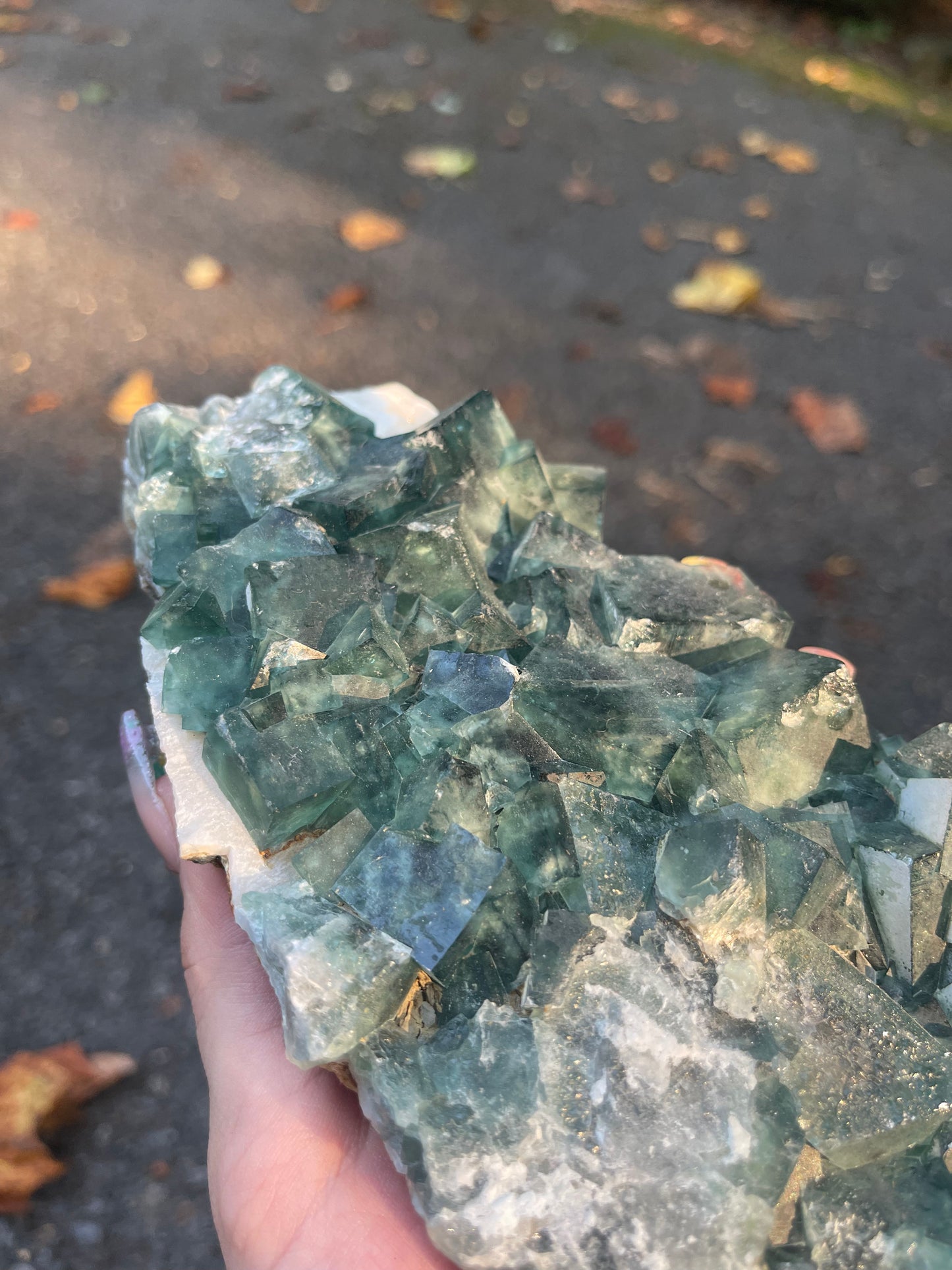 Cubic Fluorite #1