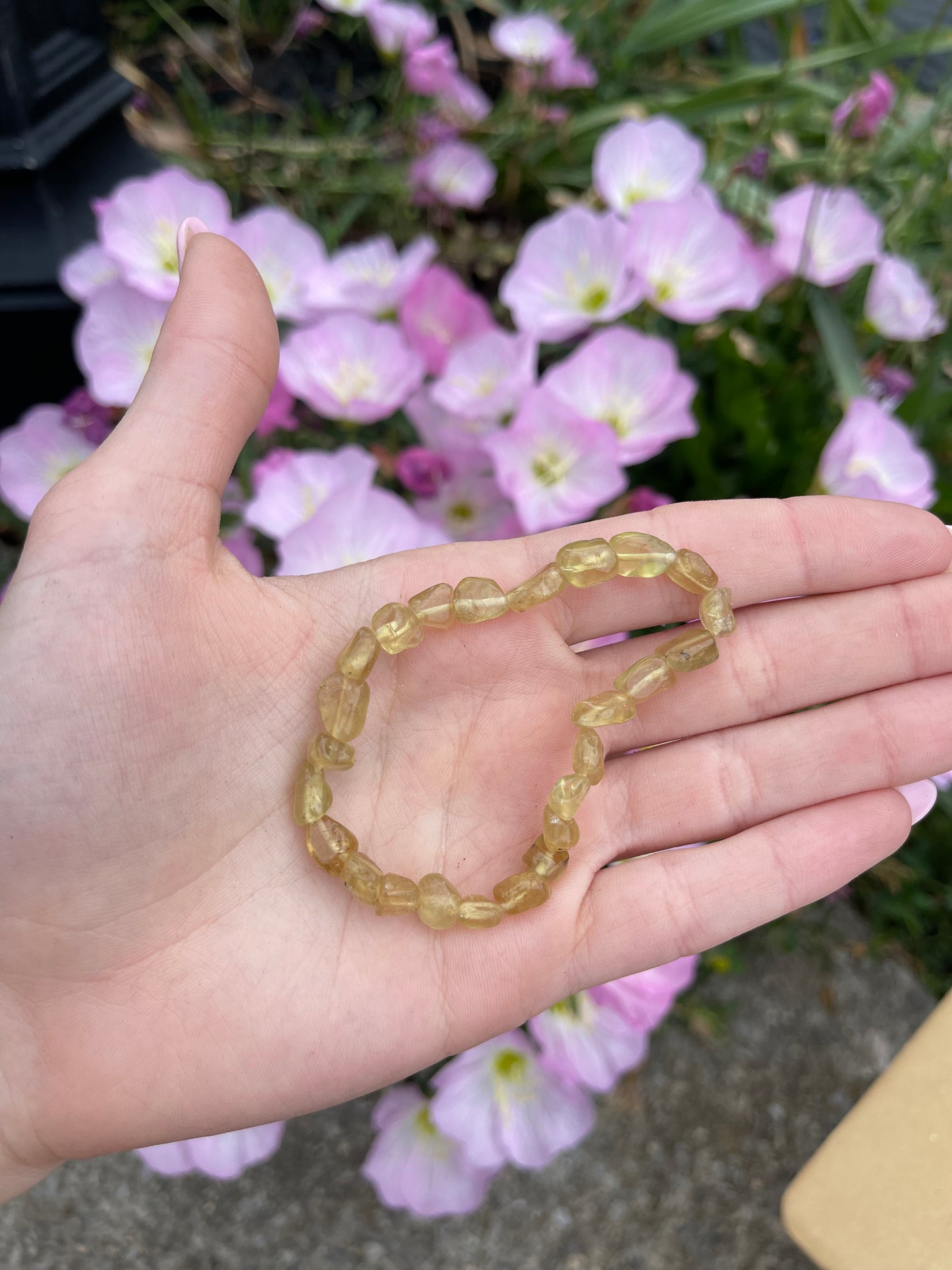 Golden Apatite stretchy bracelet