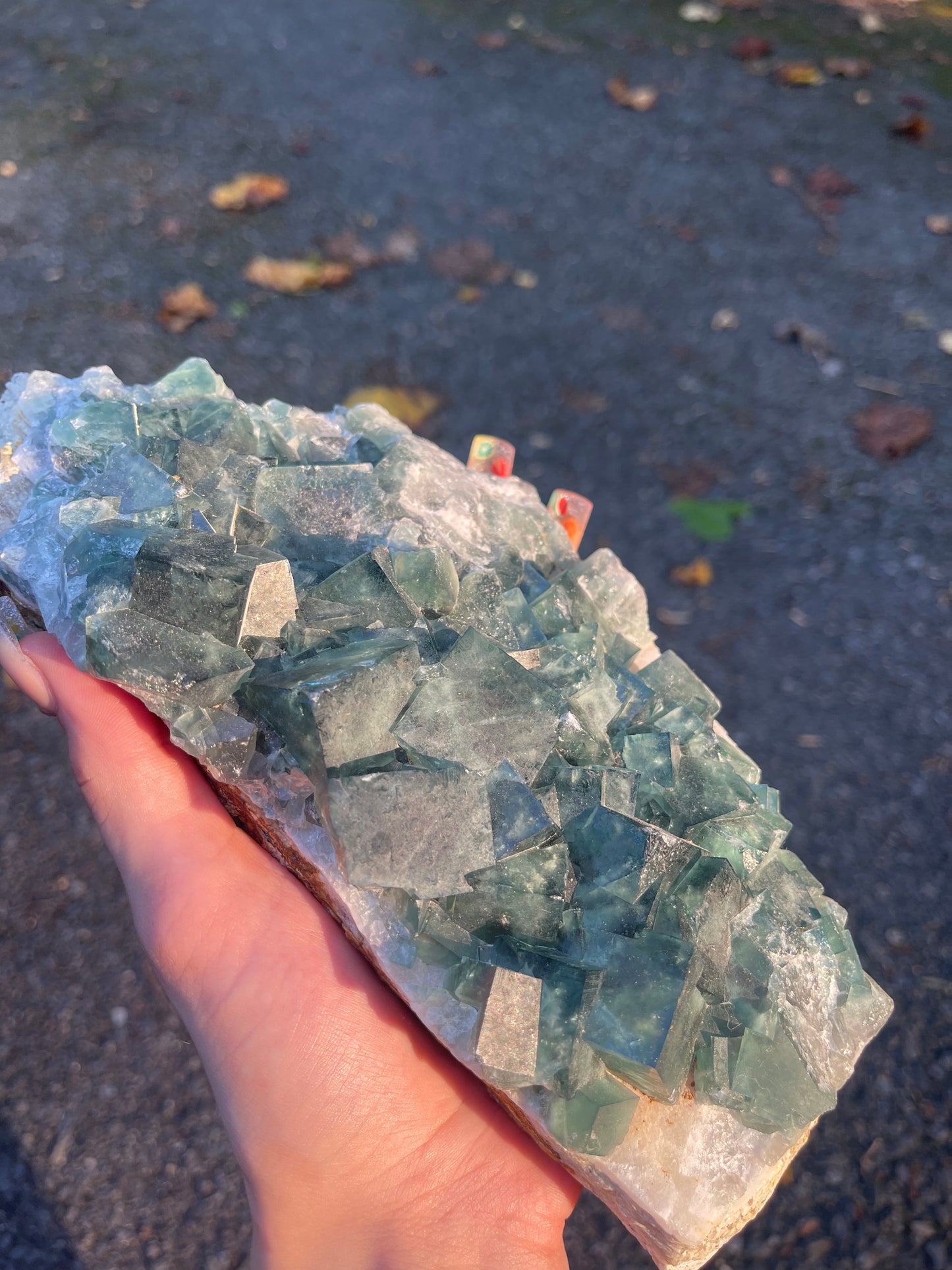 Cubic Fluorite #1