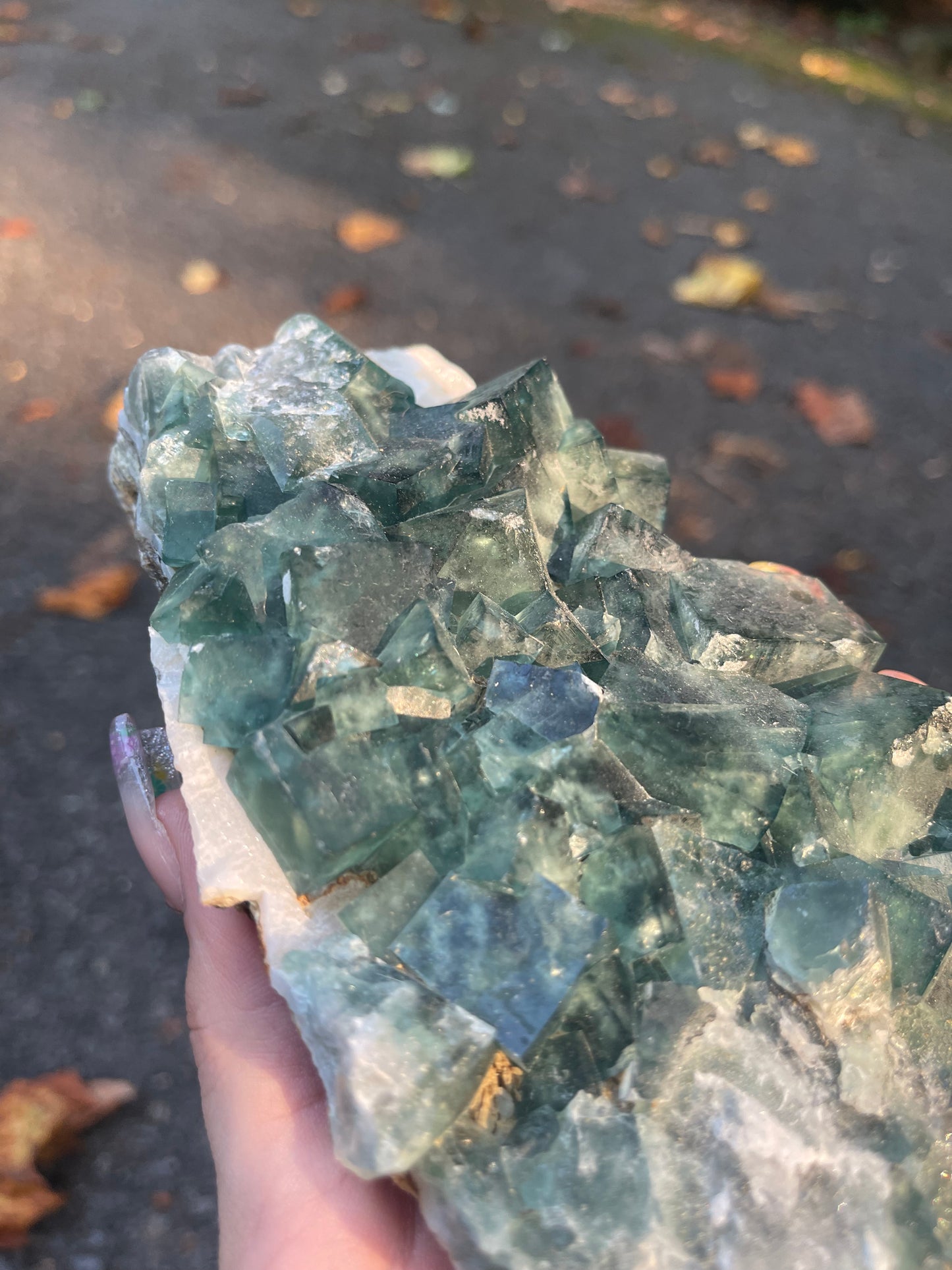 Cubic Fluorite #1