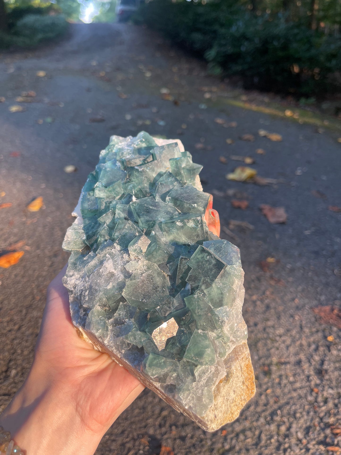 Cubic Fluorite #1