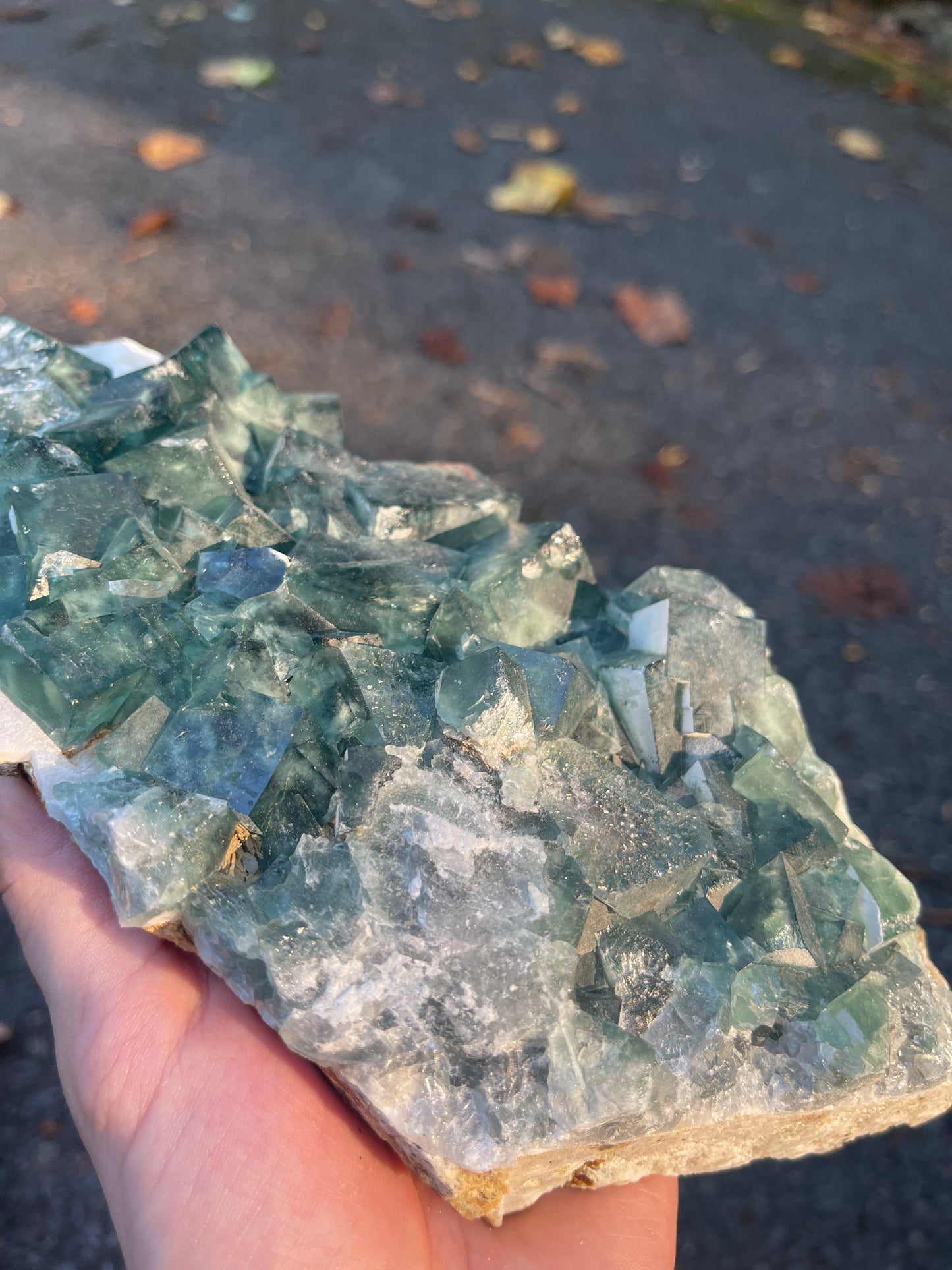 Cubic Fluorite #1