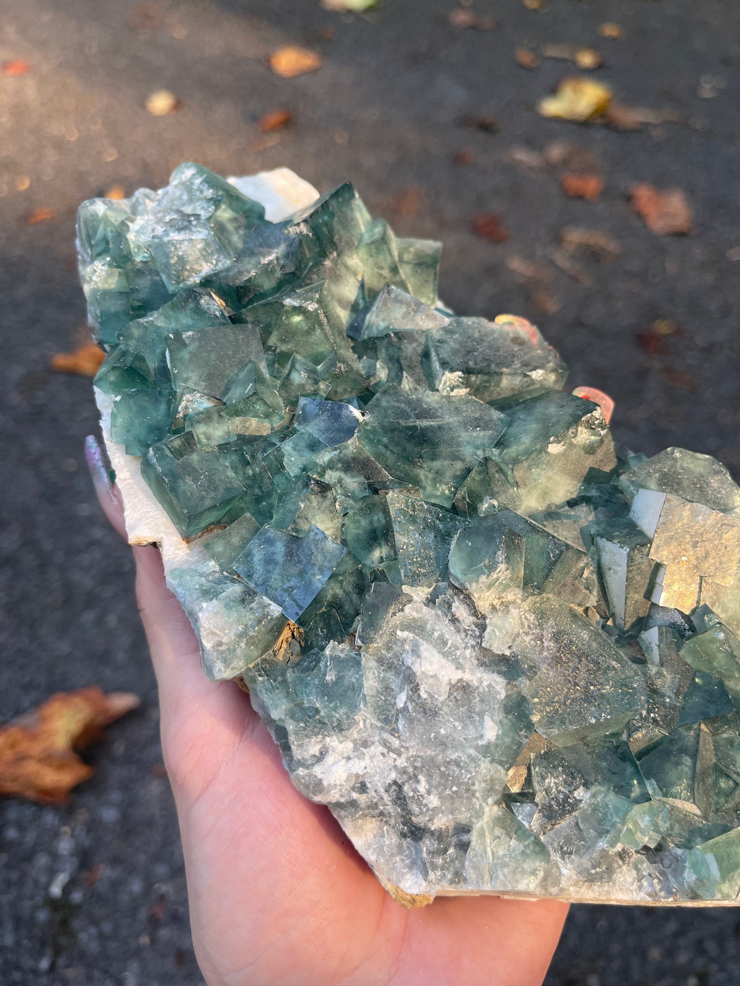 Cubic Fluorite #1