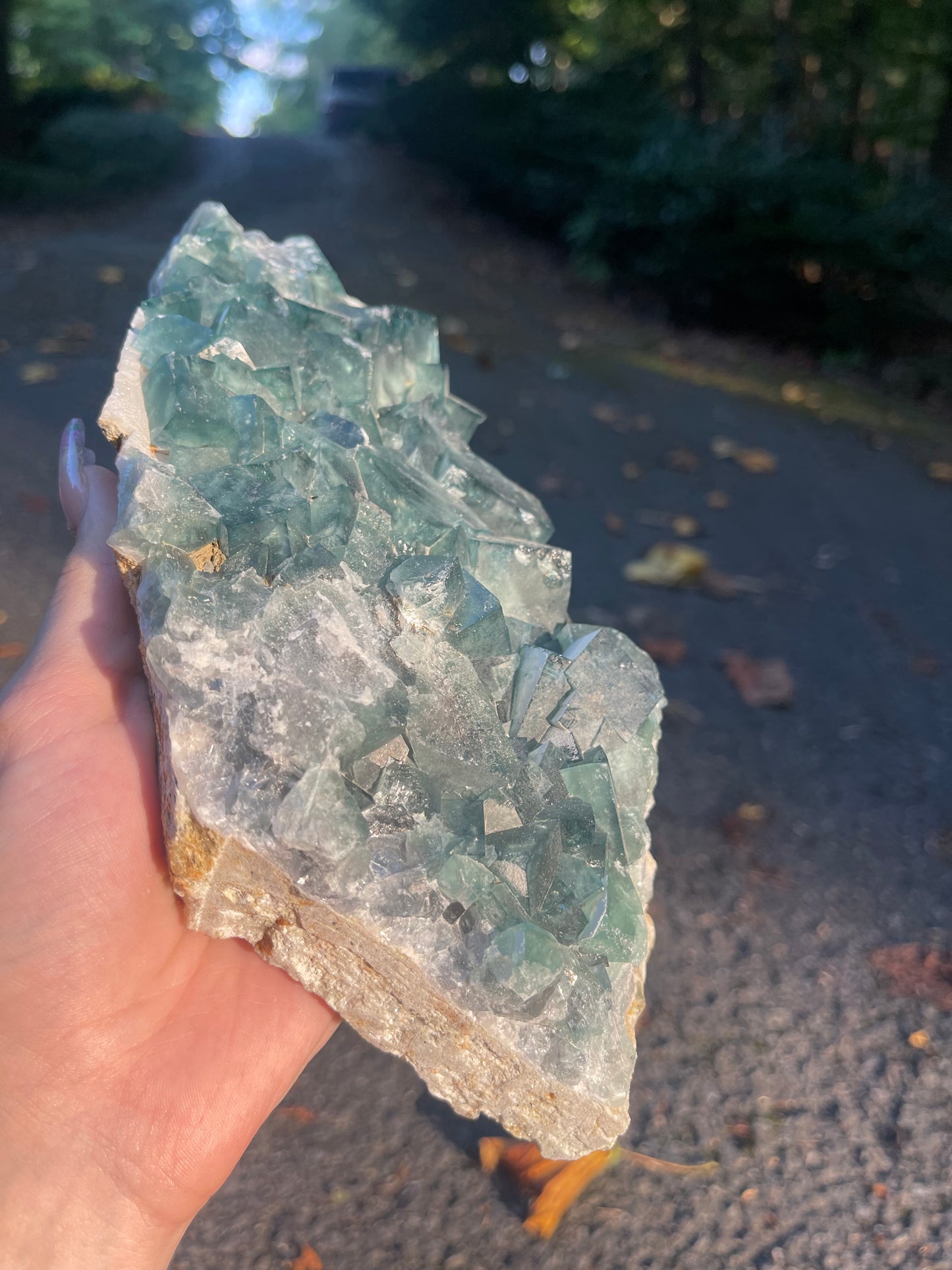 Cubic Fluorite #1