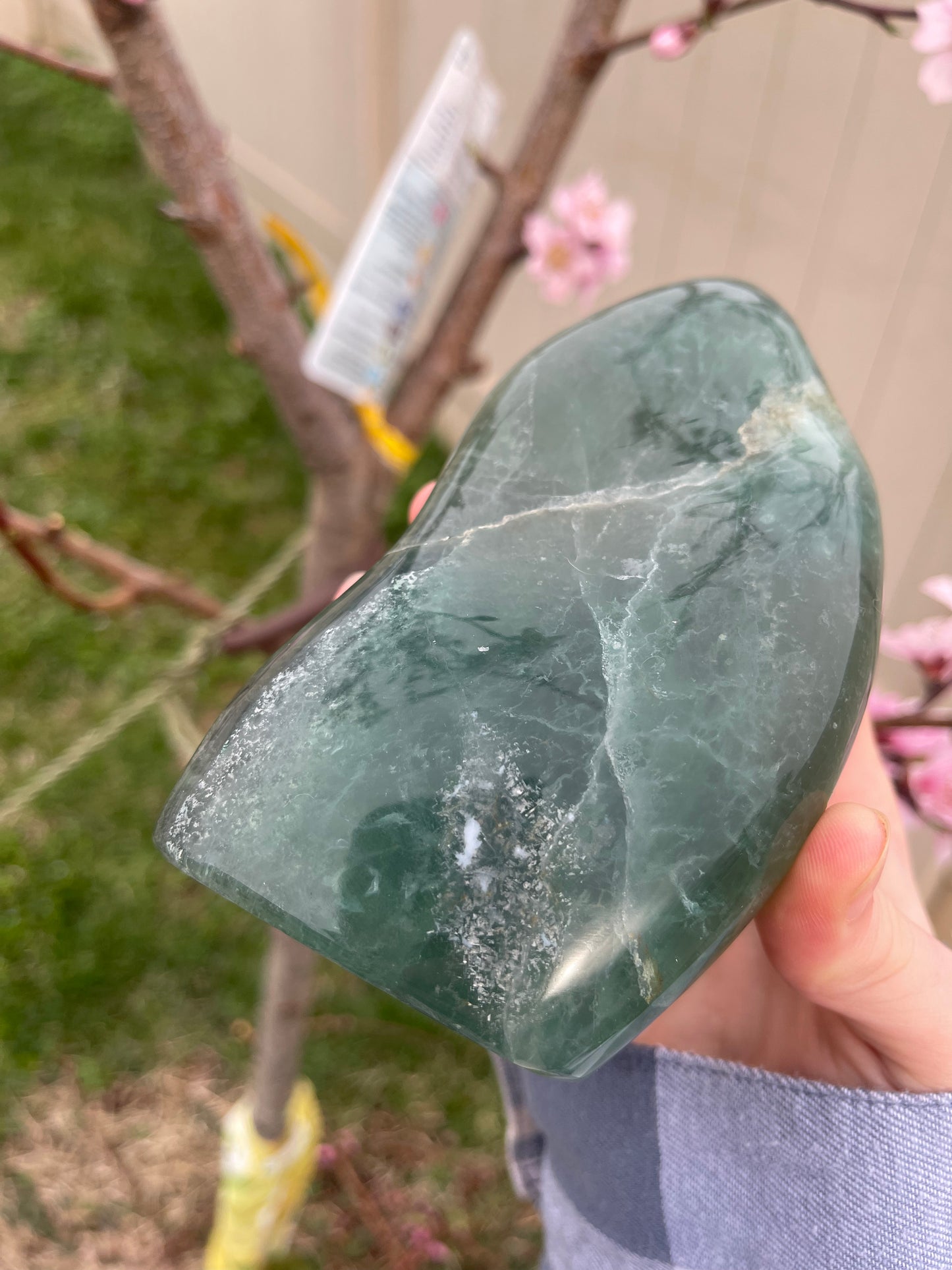 Fluorite Freeform #2