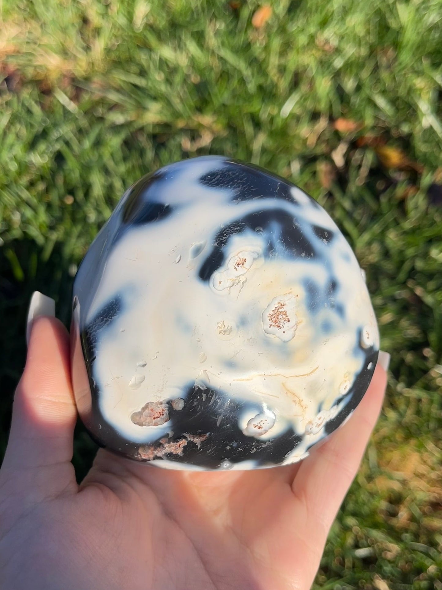 Orca Agate Freeform #4