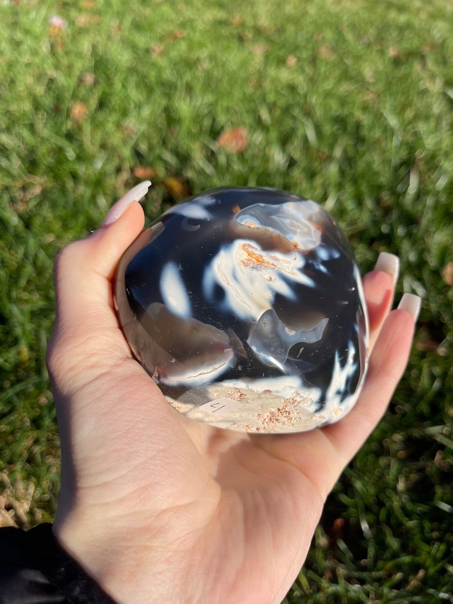 Orca Agate Freeform #4