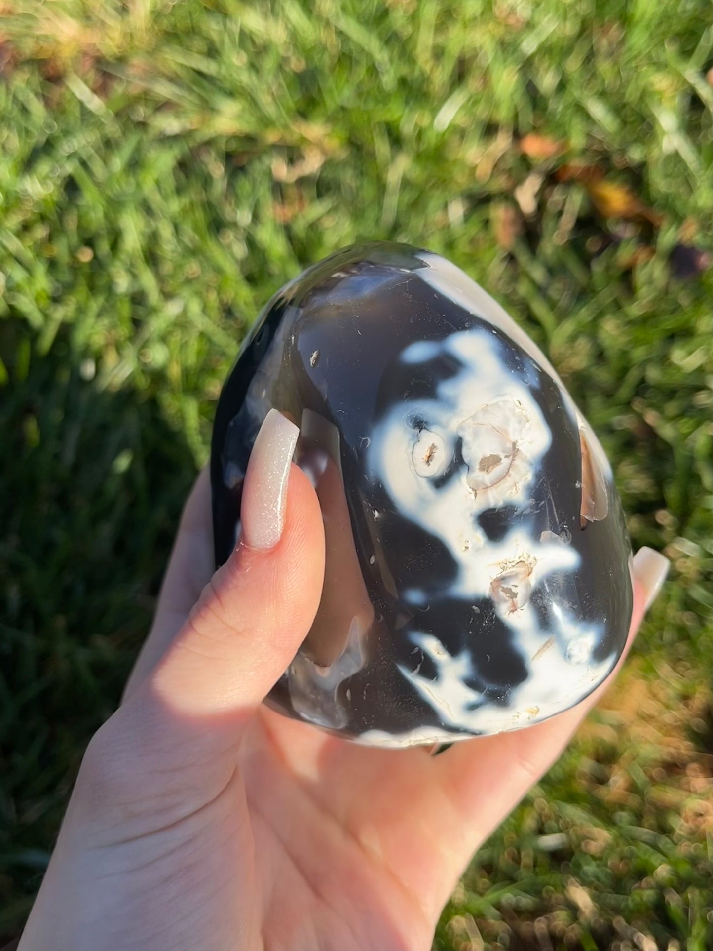 Orca Agate Freeform #4