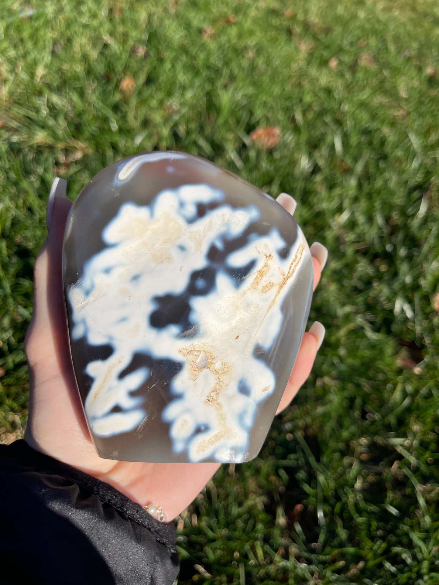 Orca Agate Freeform #5